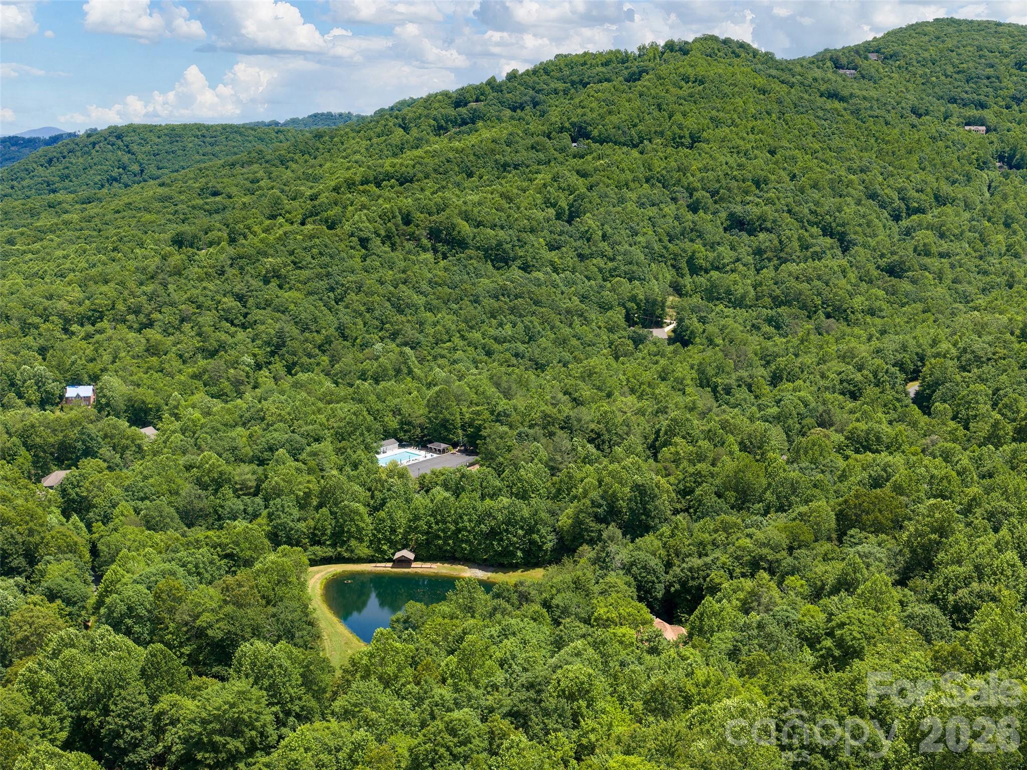 Aerial view of pool, sports courts, & community pond - 48 Smokemont Drive, Arden