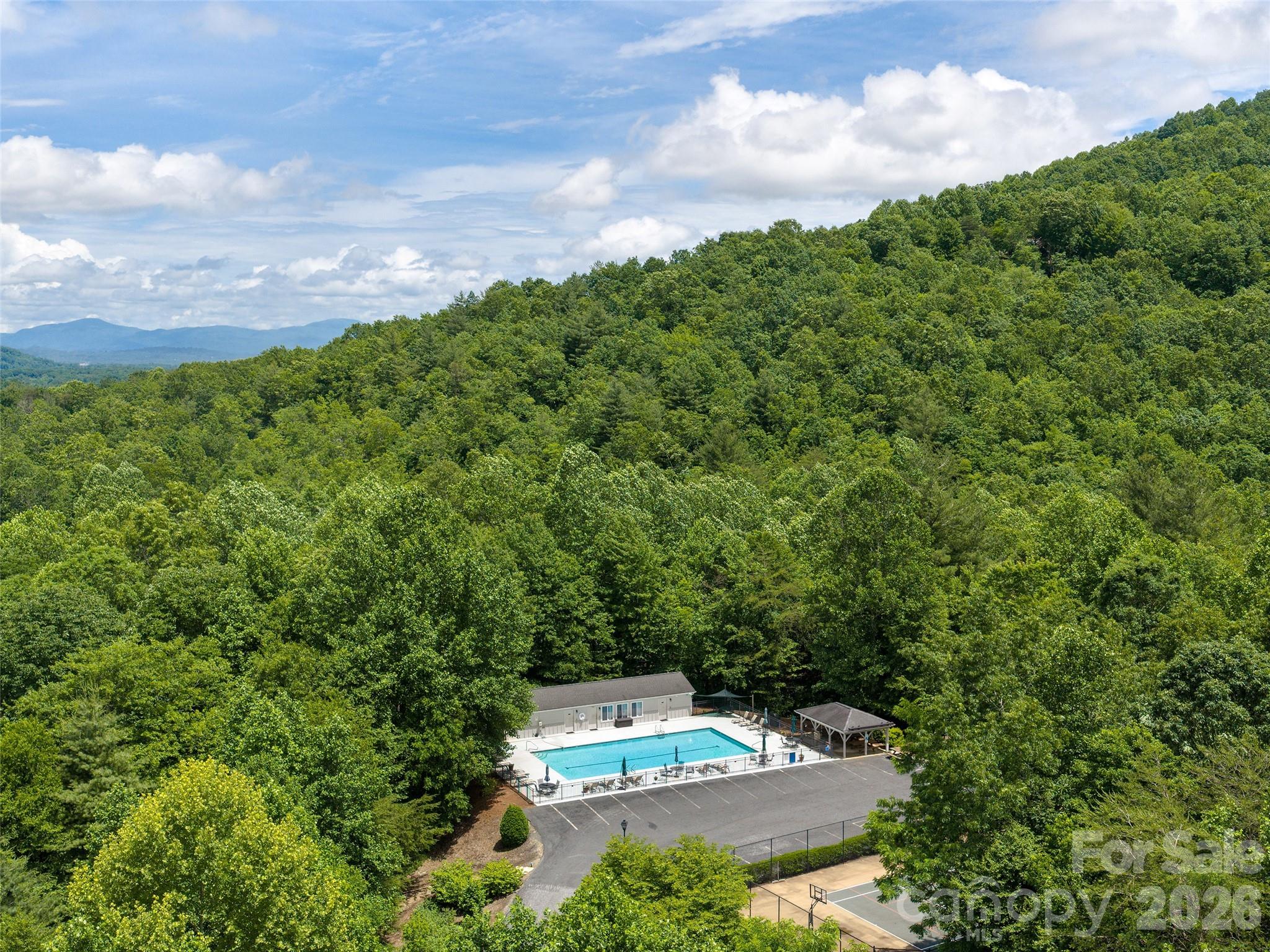 Aerial view of pool & parking area - 48 Smokemont Drive, Arden