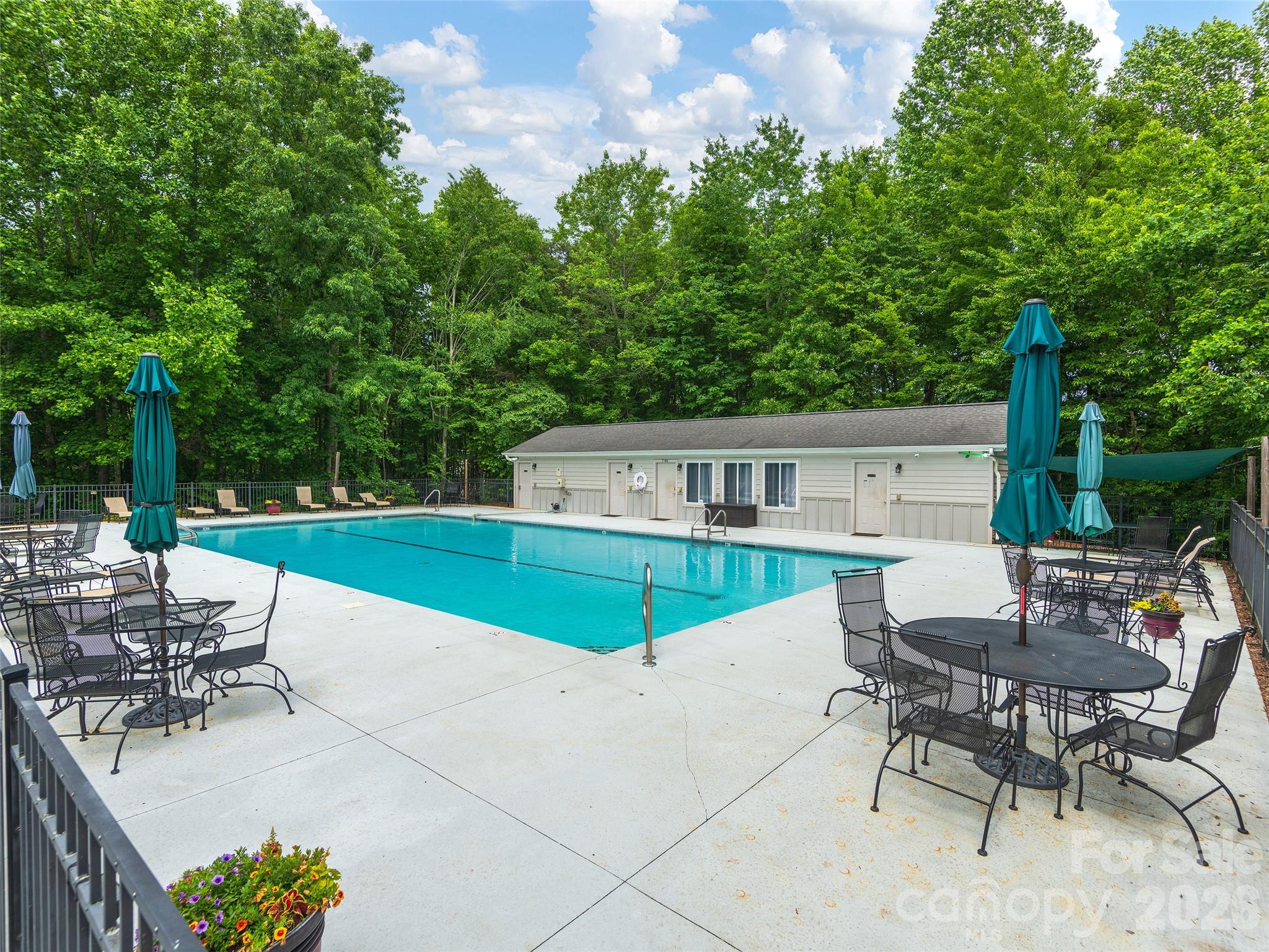 Community pool - 48 Smokemont Drive, Arden
