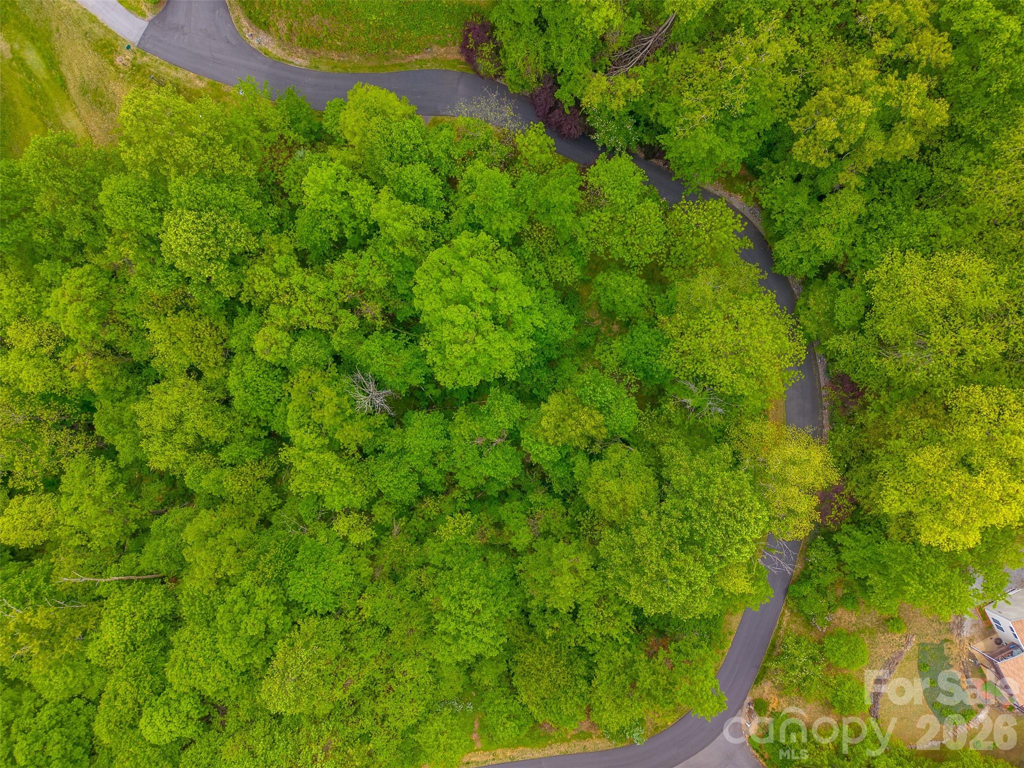 Lot at Lot 104 Campbell Mountain Drive, Waynesville, photo 2 of 17