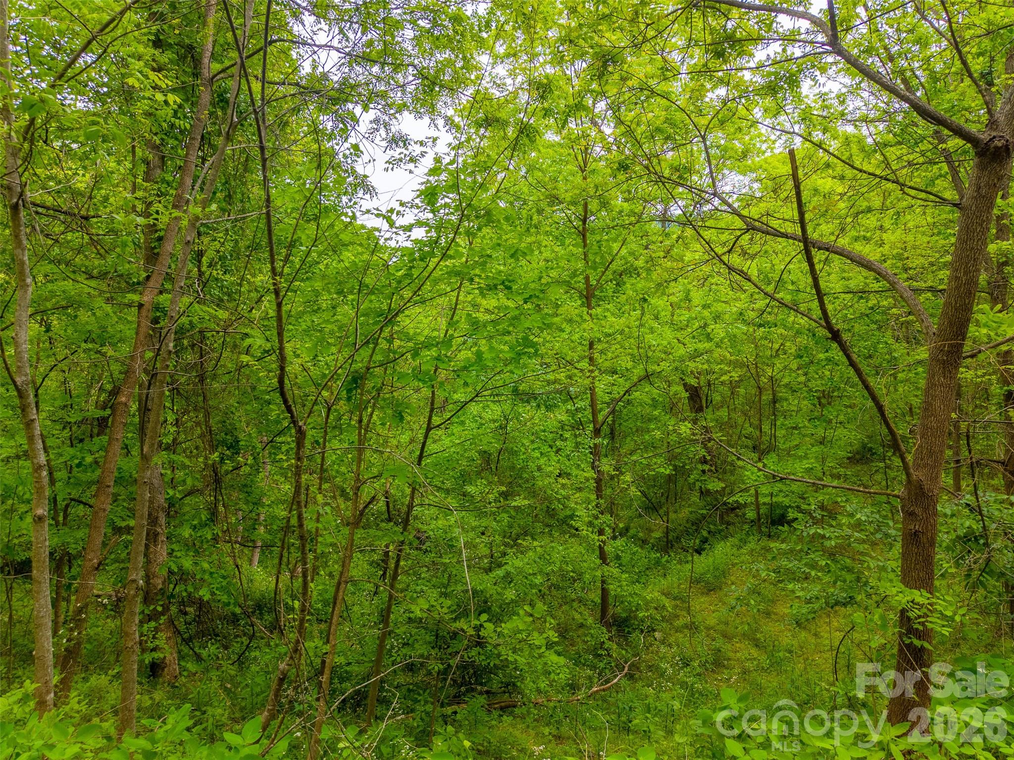 Lot at Lot 104 Campbell Mountain Drive, Waynesville, photo 9 of 17