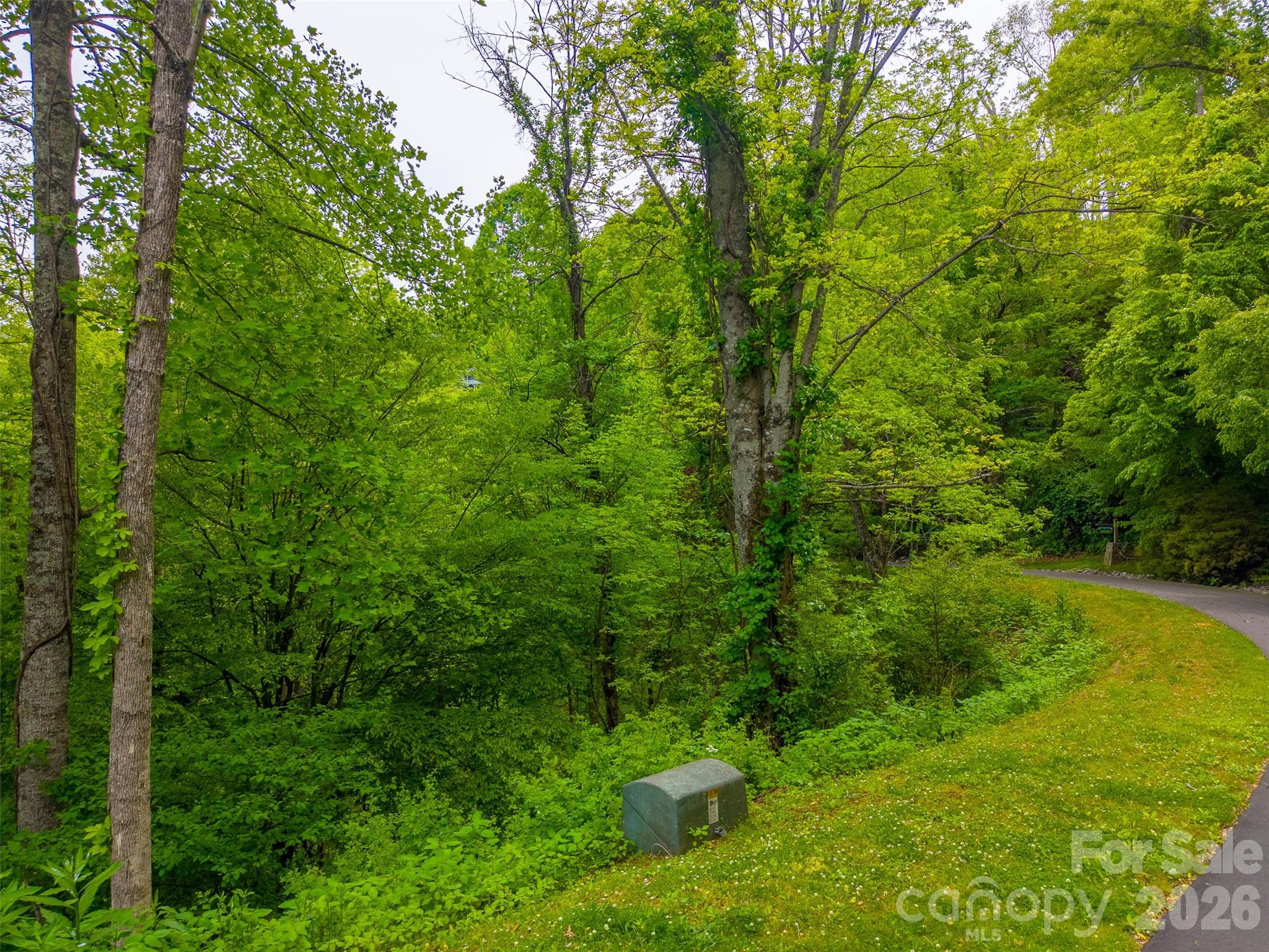 Lot at Lot 104 Campbell Mountain Drive, Waynesville, photo 10 of 17