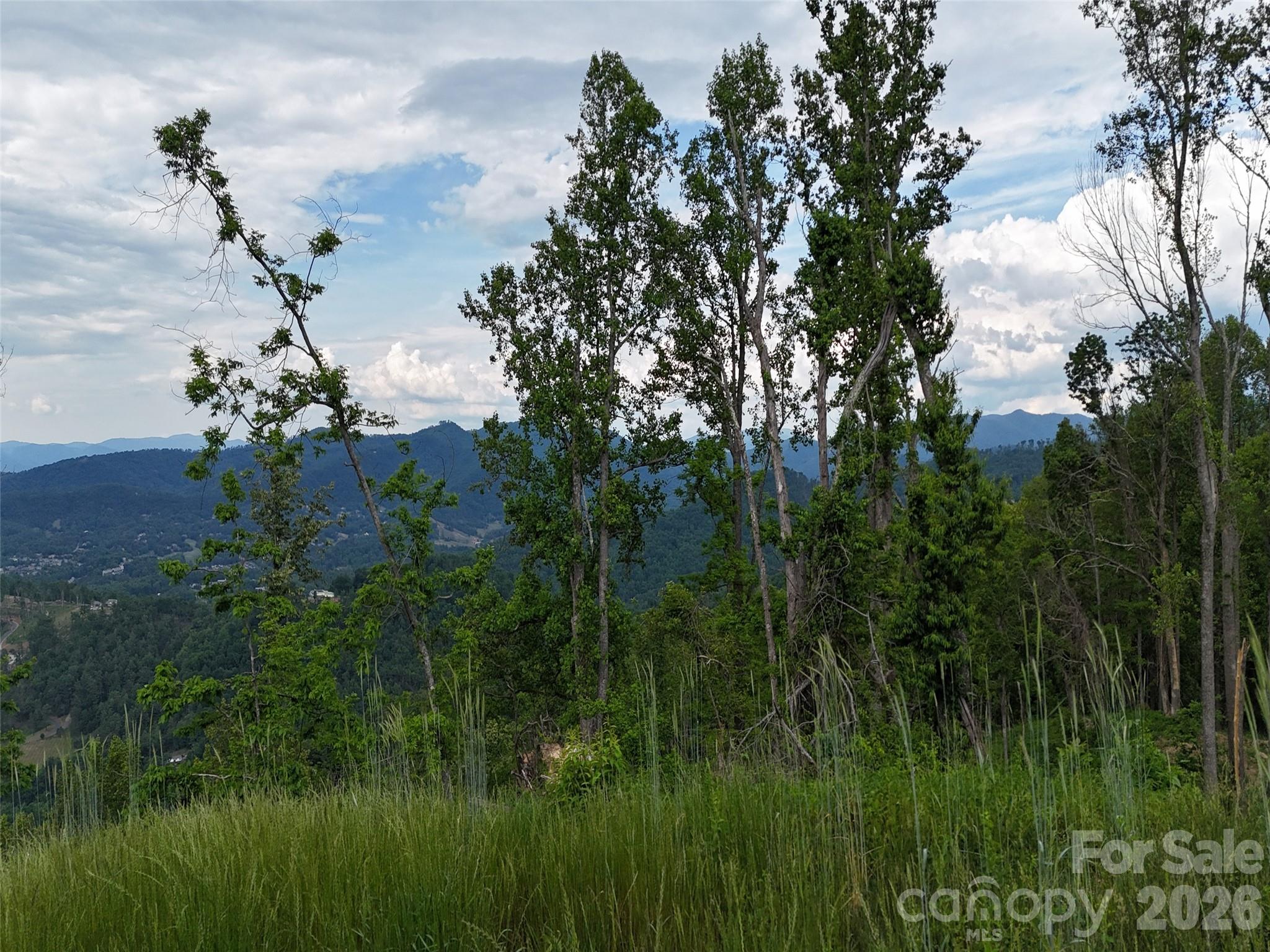 Acreage at 566 Elk Mountain Scenic Highway, Asheville, photo 11 of 21