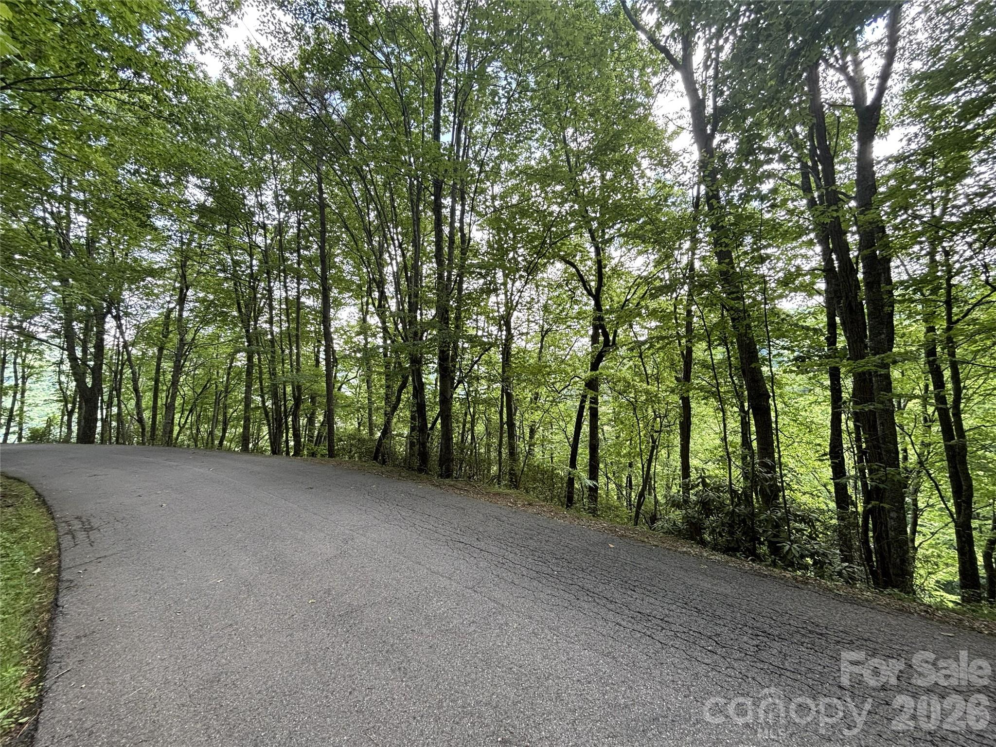 Great Potential view. Just take a look Covenants and Restrictions. - 000 Valley View Drive, Maggie Valley