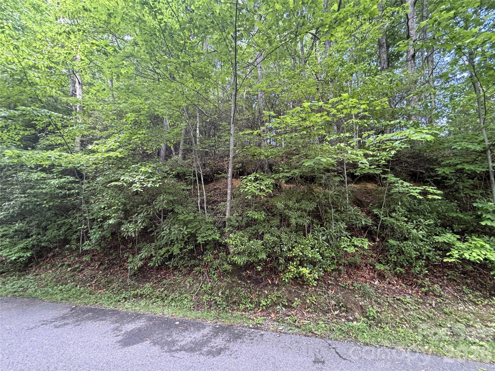 Lot at 000 Valley View Drive, Maggie Valley, photo 13 of 19