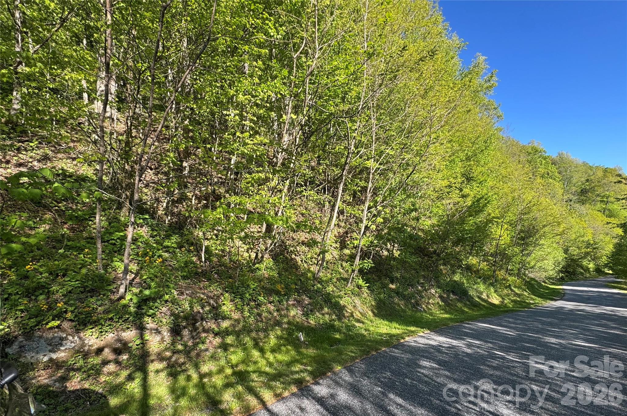 All Paved Roads - 21 Overlook Drive, Mars Hill