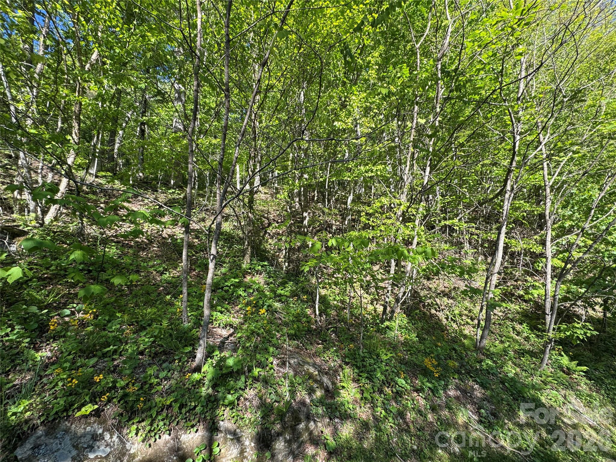 Double Lot - 21 Overlook Drive, Mars Hill