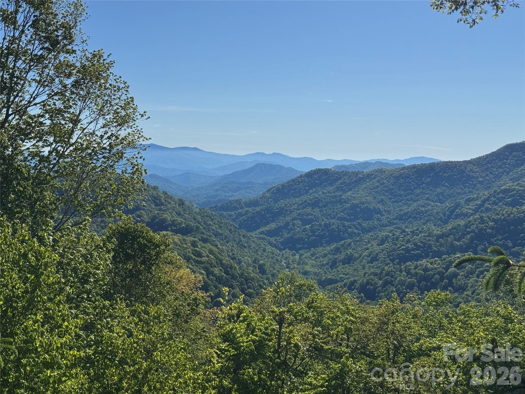 Potential Views - 21 Overlook Drive, Mars Hill