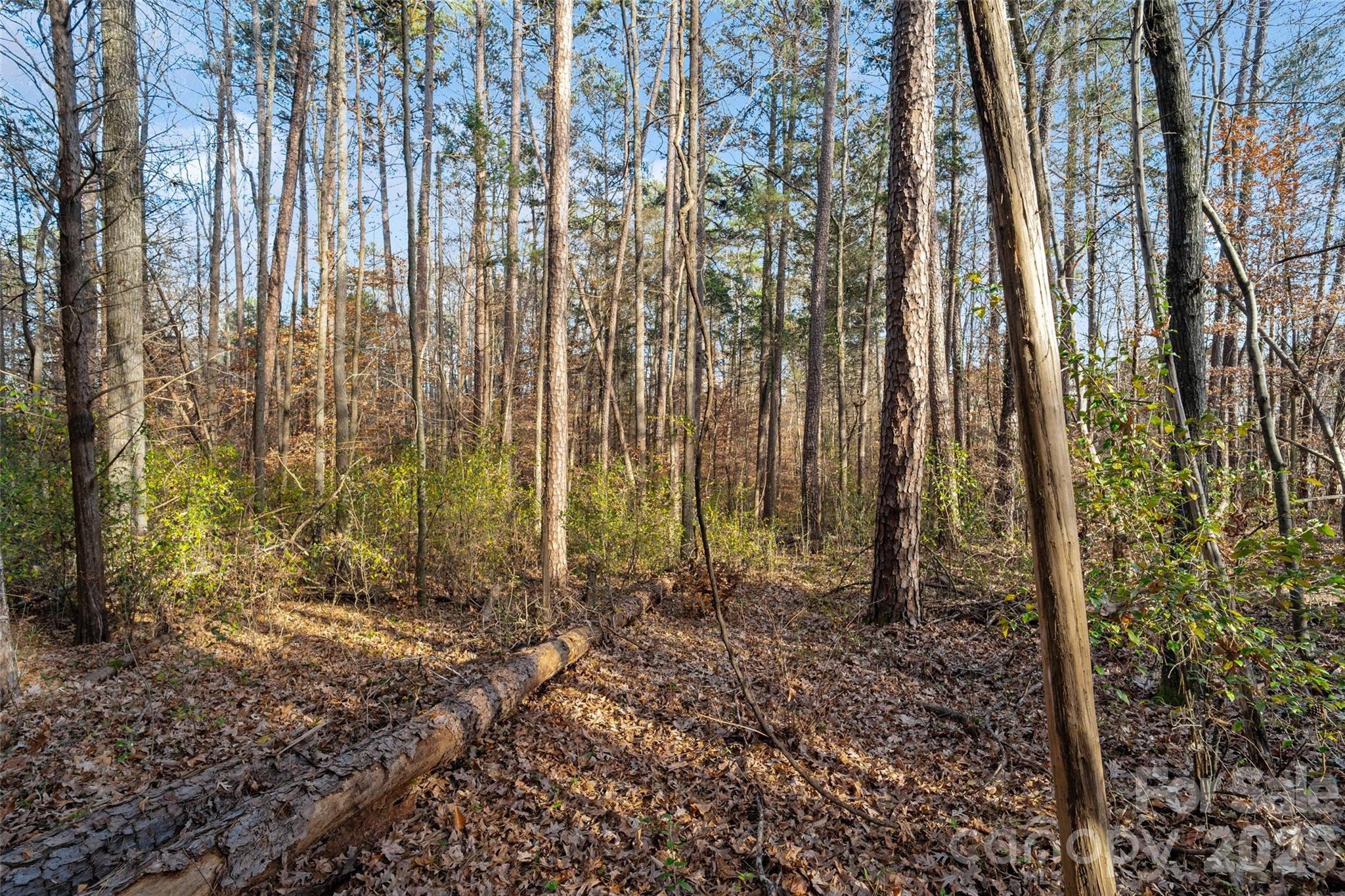 Acreage at 0000 Sandy Ford Road, Mount Holly, photo 12 of 12