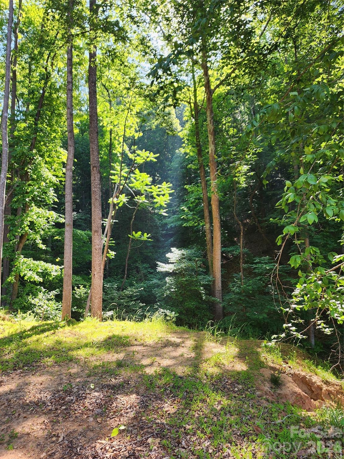 TBD Boone Gap Lane