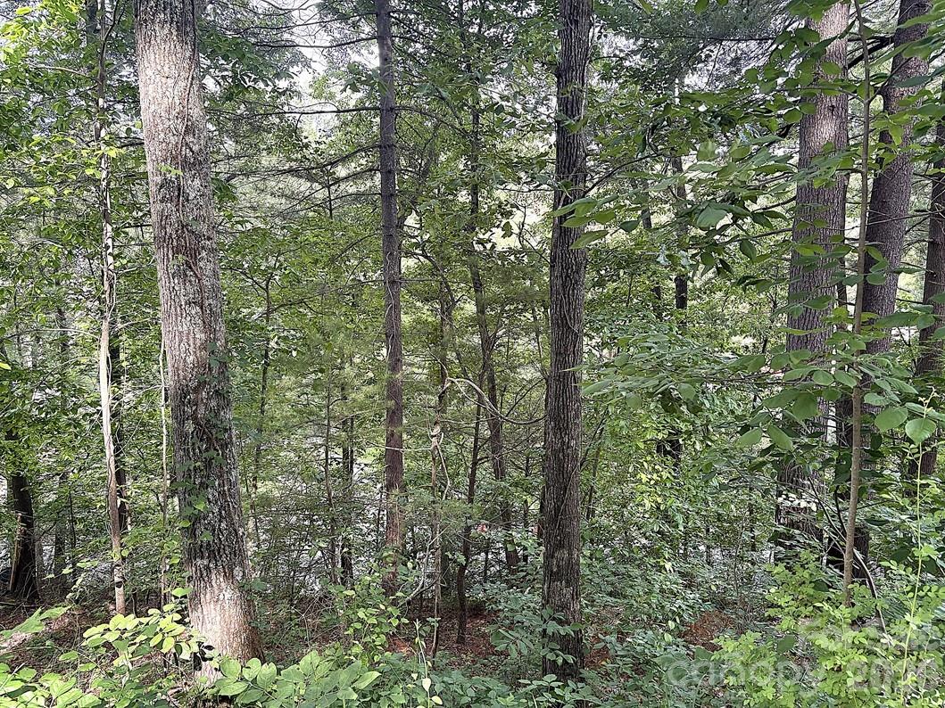 Lot at 000 Toms Park Circle, Hendersonville, photo 2 of 2