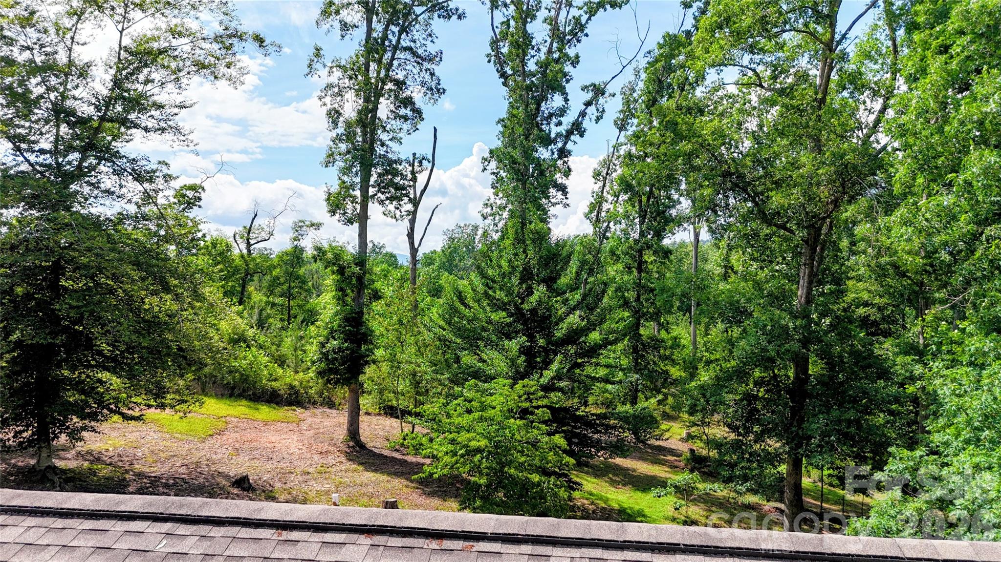 Possible Long range winter Mountain Views - 1943 Landrum Road, Columbus