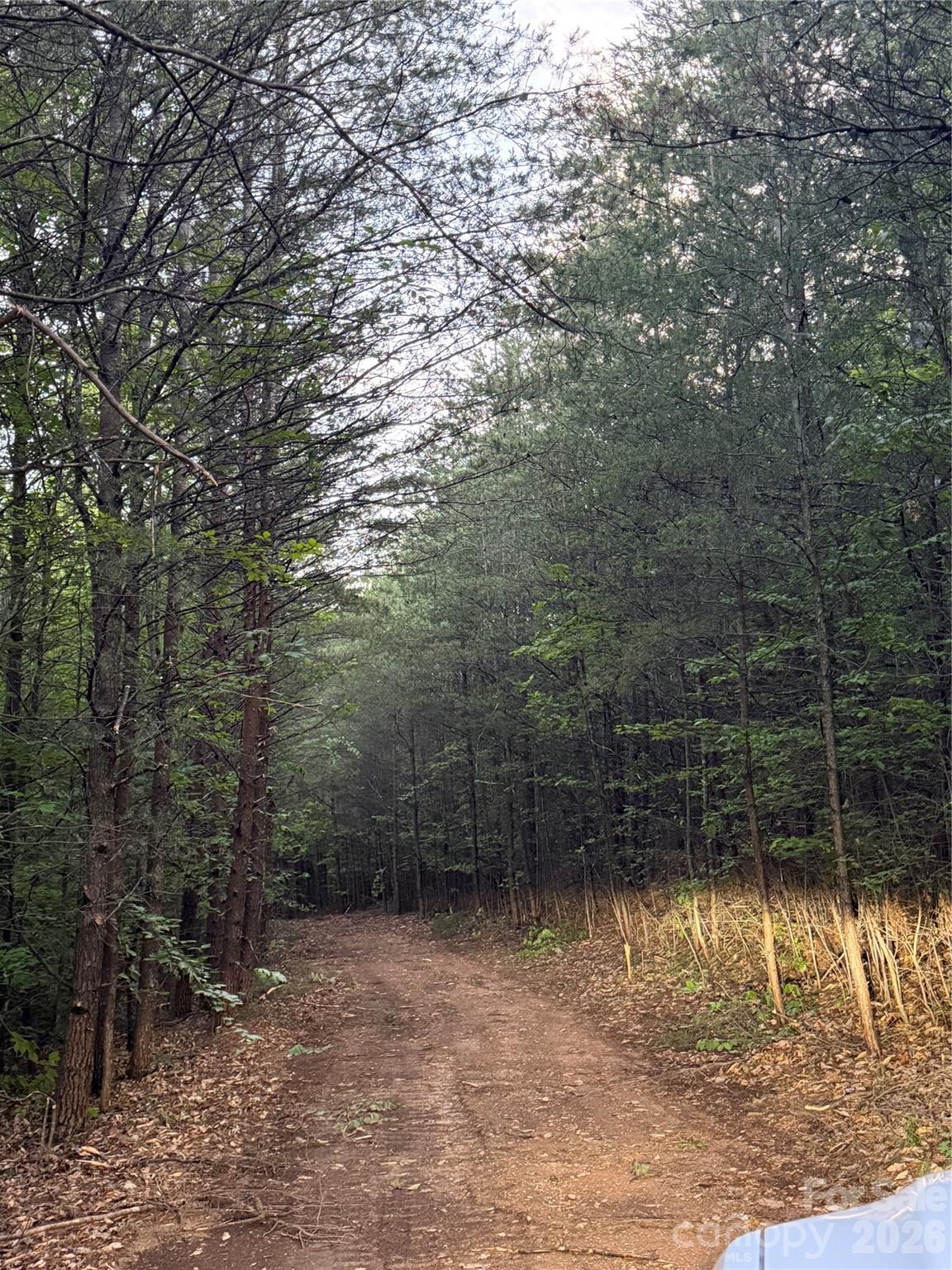 Acreage at Tract 3 Hill Road, Marion, photo 8 of 9