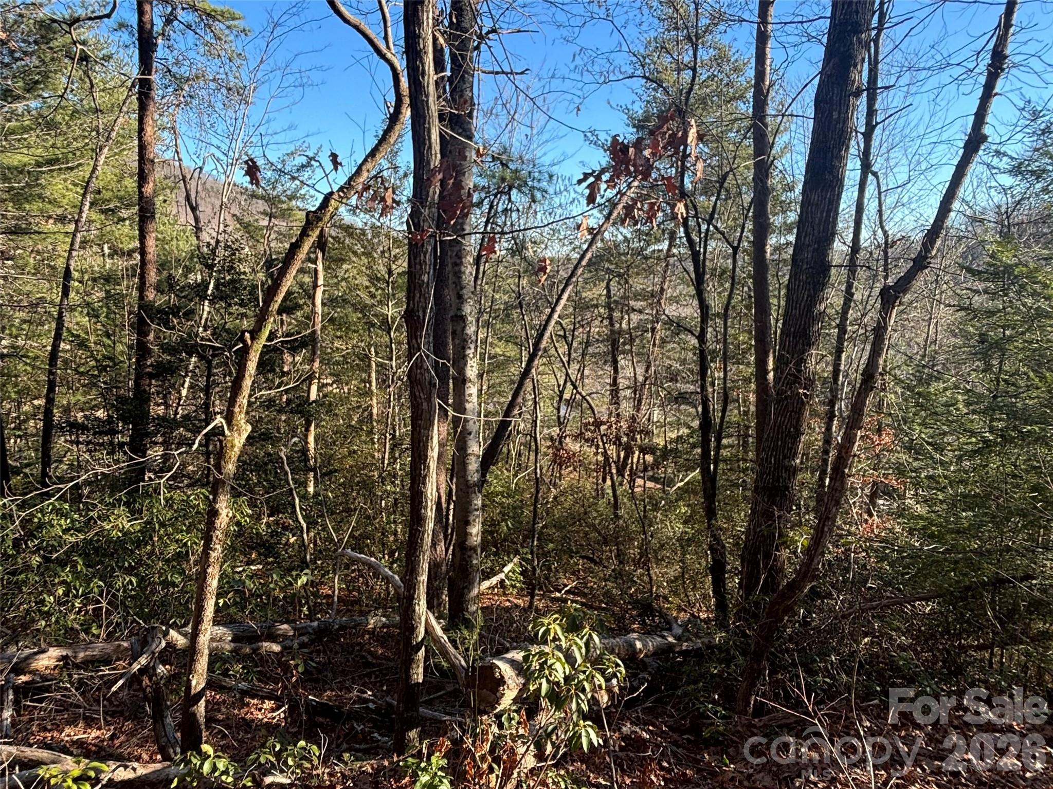 Gently Sloped for Building Home - Lot 19 Nicklaus Lane, Lake Lure