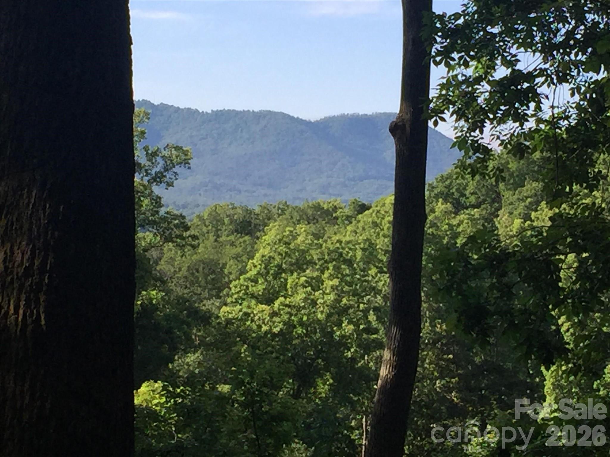 Lot at 20 La Grange Drive, Asheville