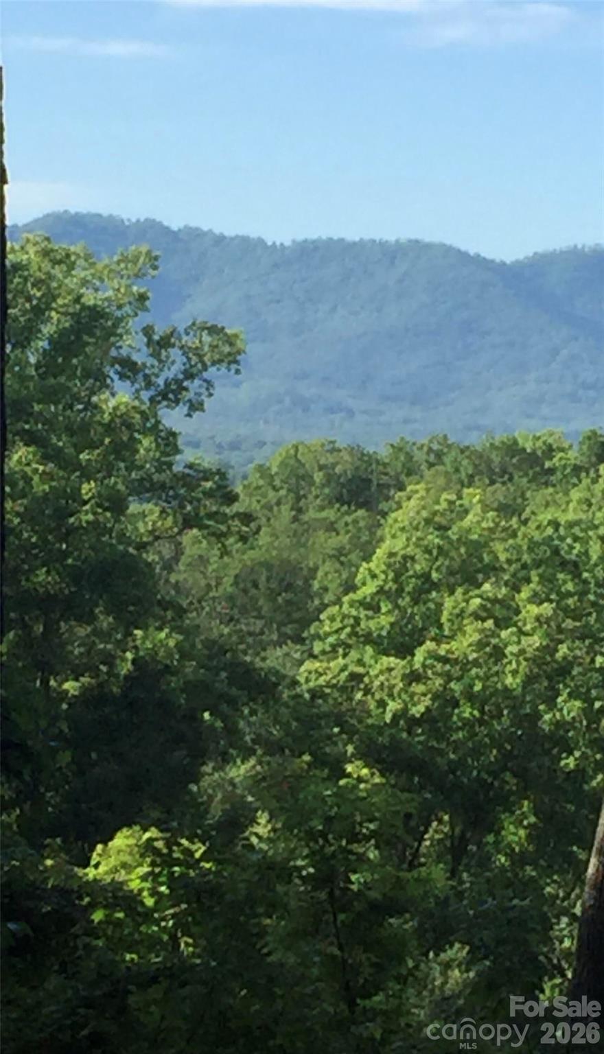 Lot at 20 La Grange Drive, Asheville, photo 2 of 19