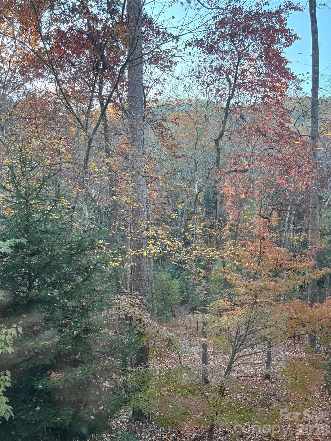 Lot at 20 La Grange Drive, Asheville, photo 3 of 19