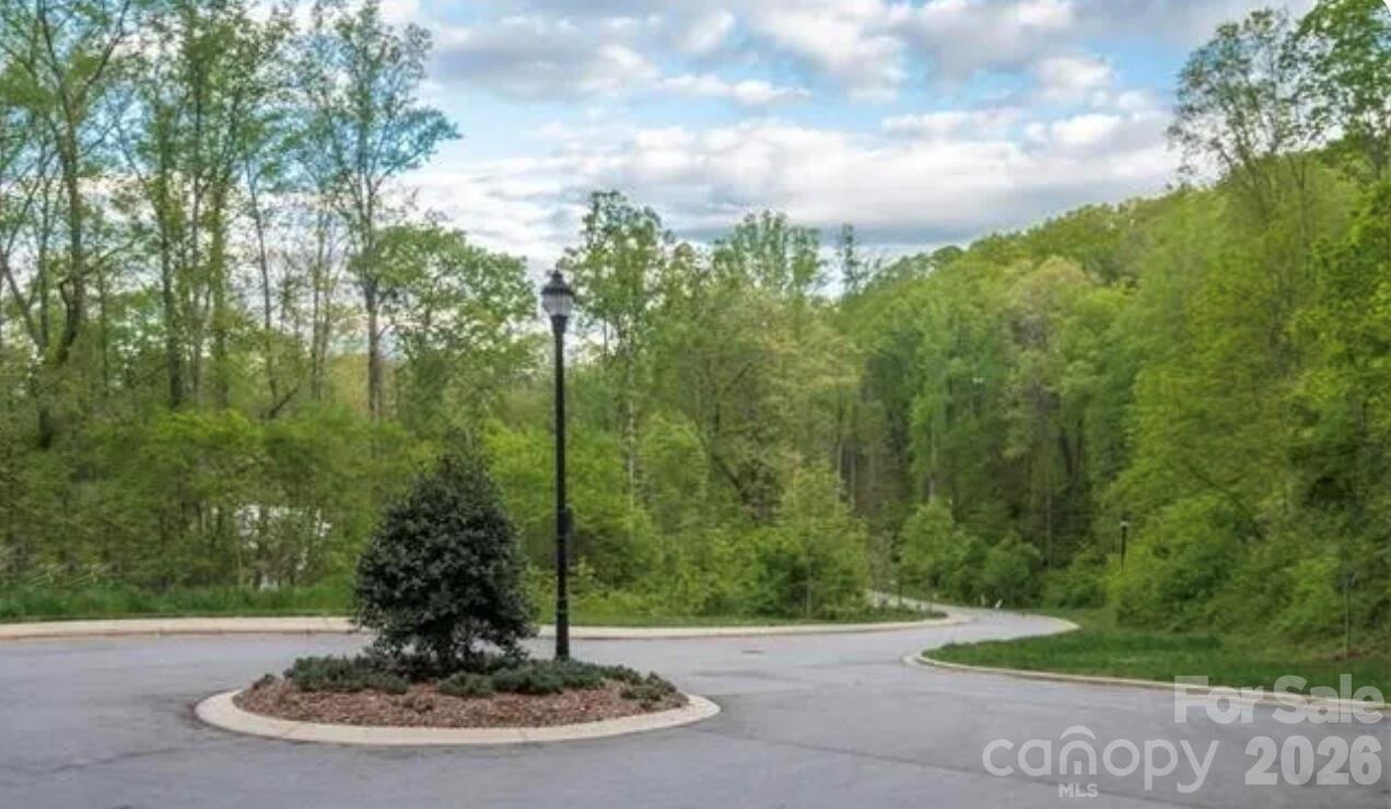 Lot at 20 La Grange Drive, Asheville, photo 4 of 19