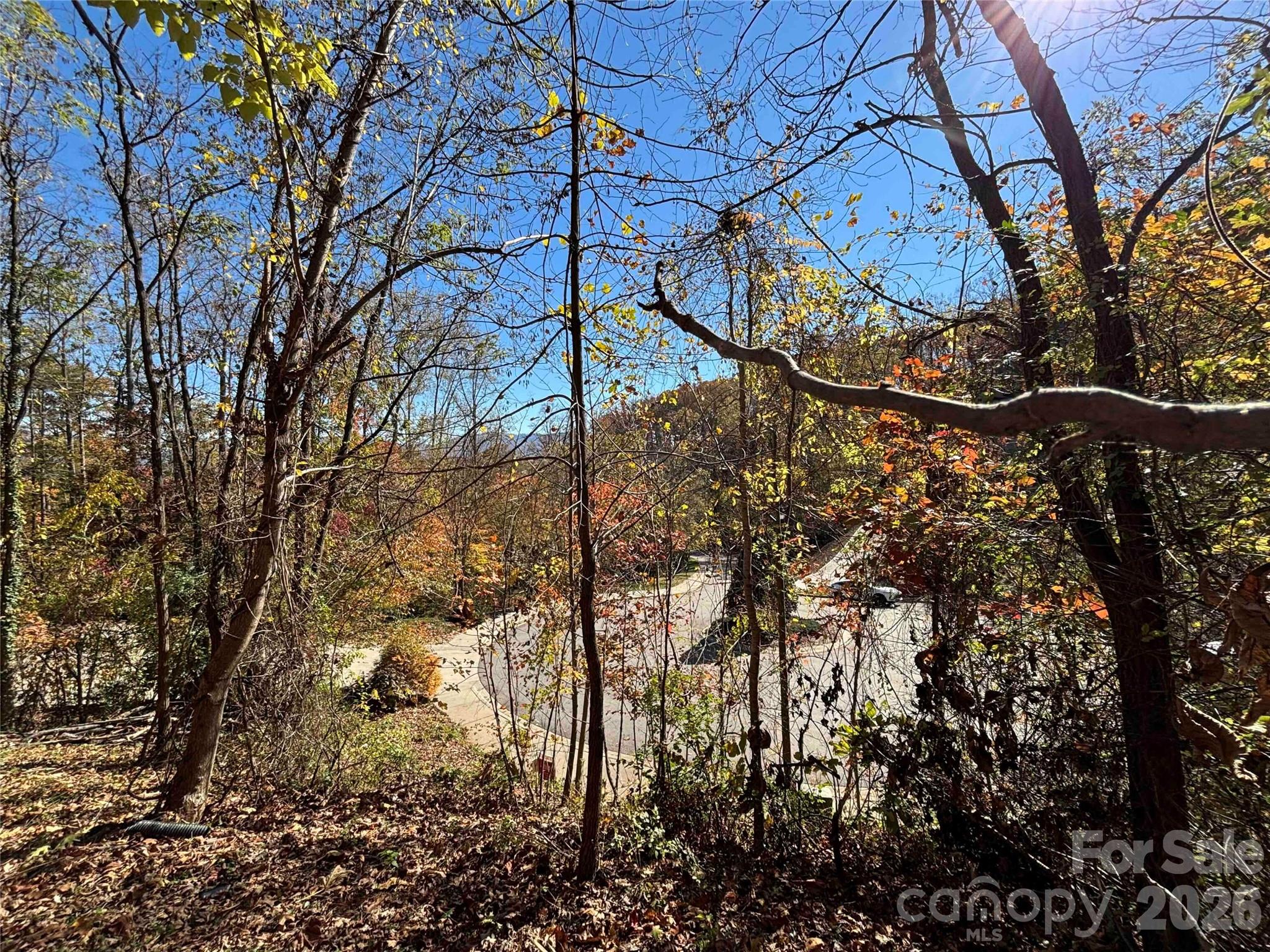Lot at 20 La Grange Drive, Asheville, photo 6 of 19