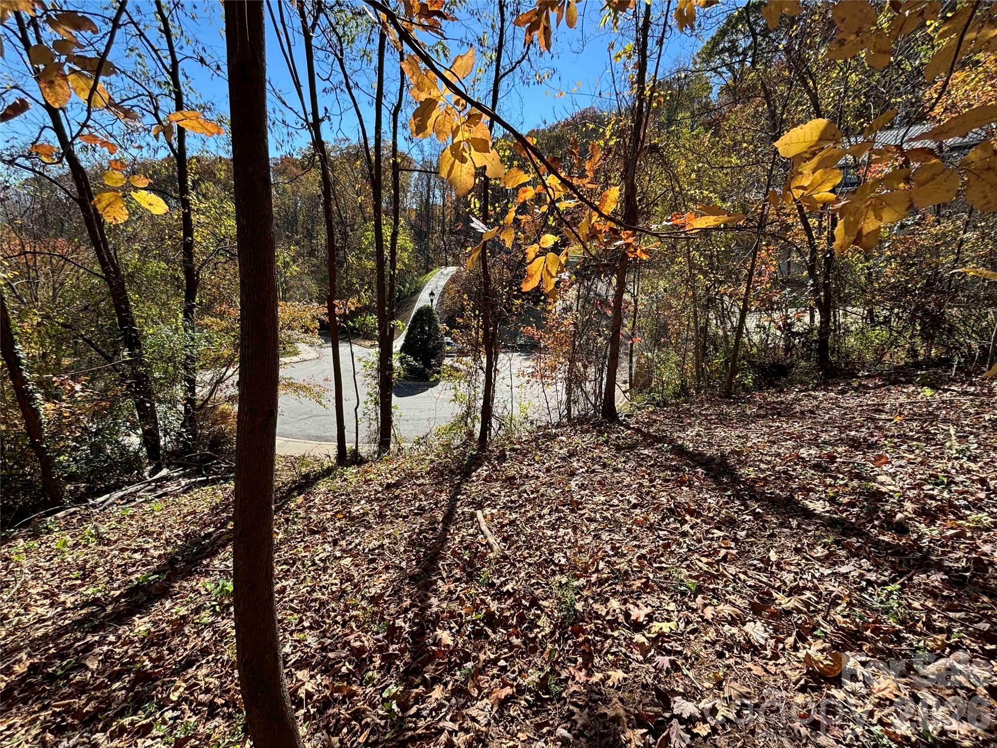 Lot at 20 La Grange Drive, Asheville, photo 7 of 19