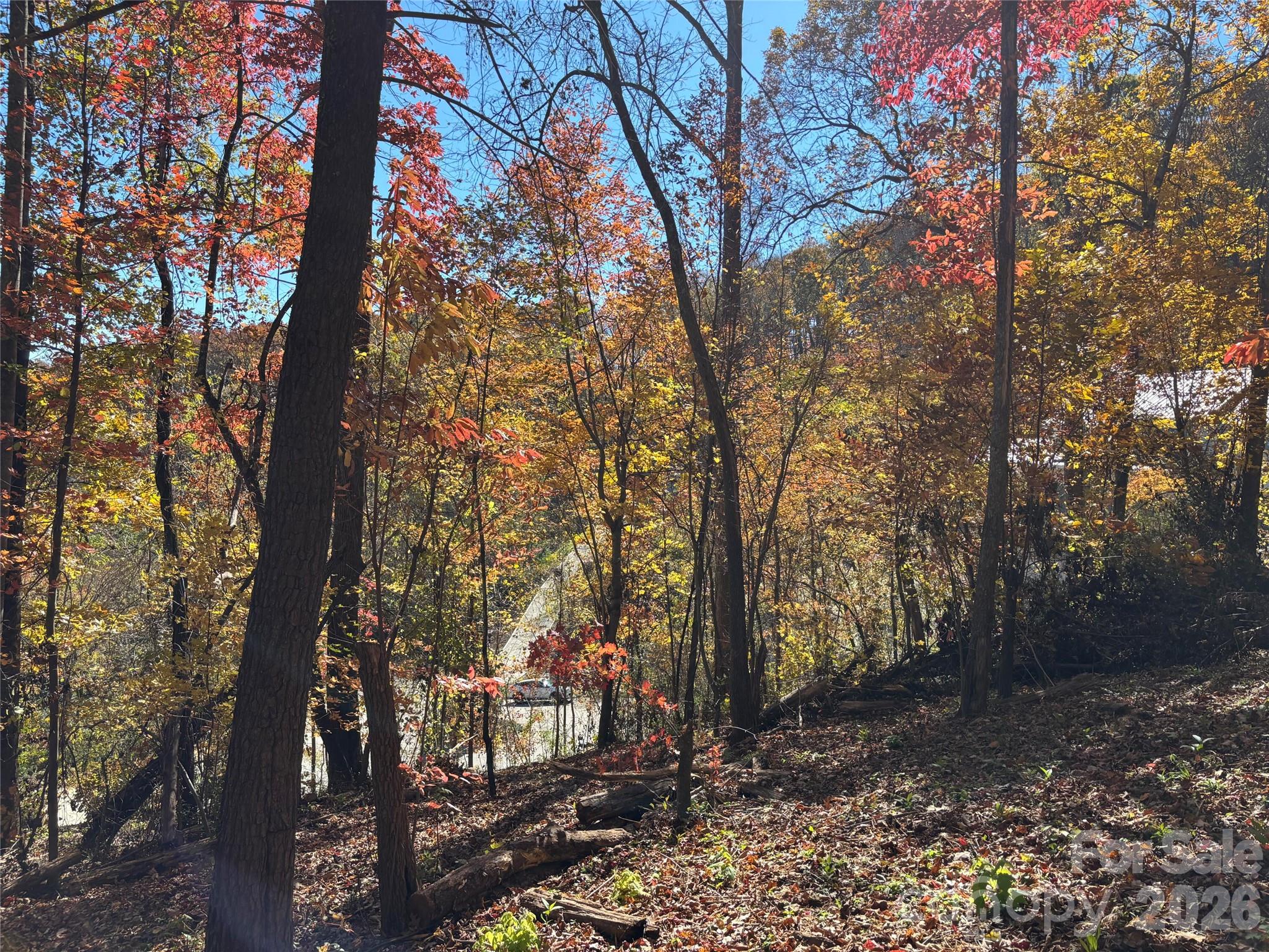 Lot at 20 La Grange Drive, Asheville, photo 8 of 19