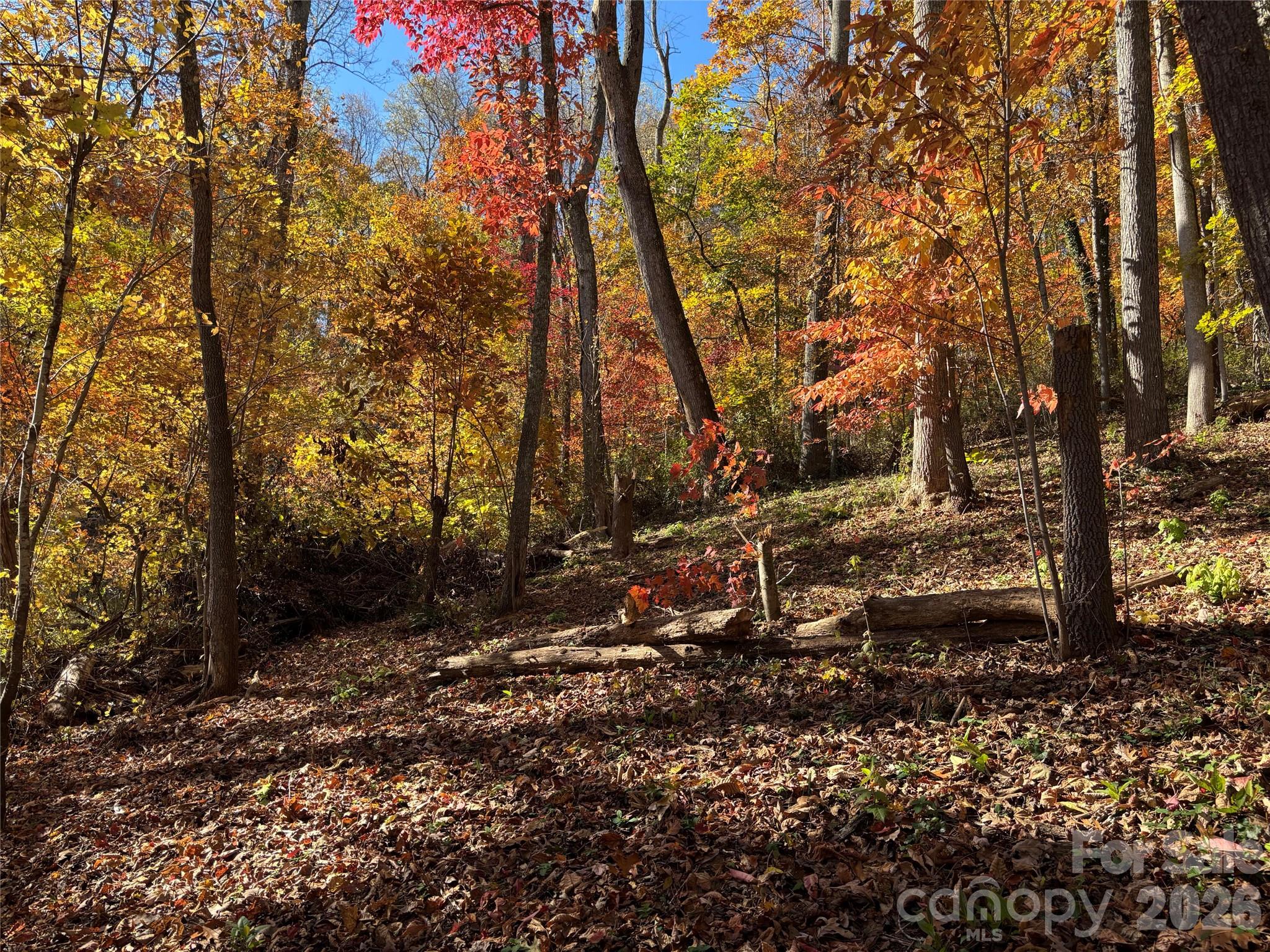 Lot at 20 La Grange Drive, Asheville, photo 9 of 19