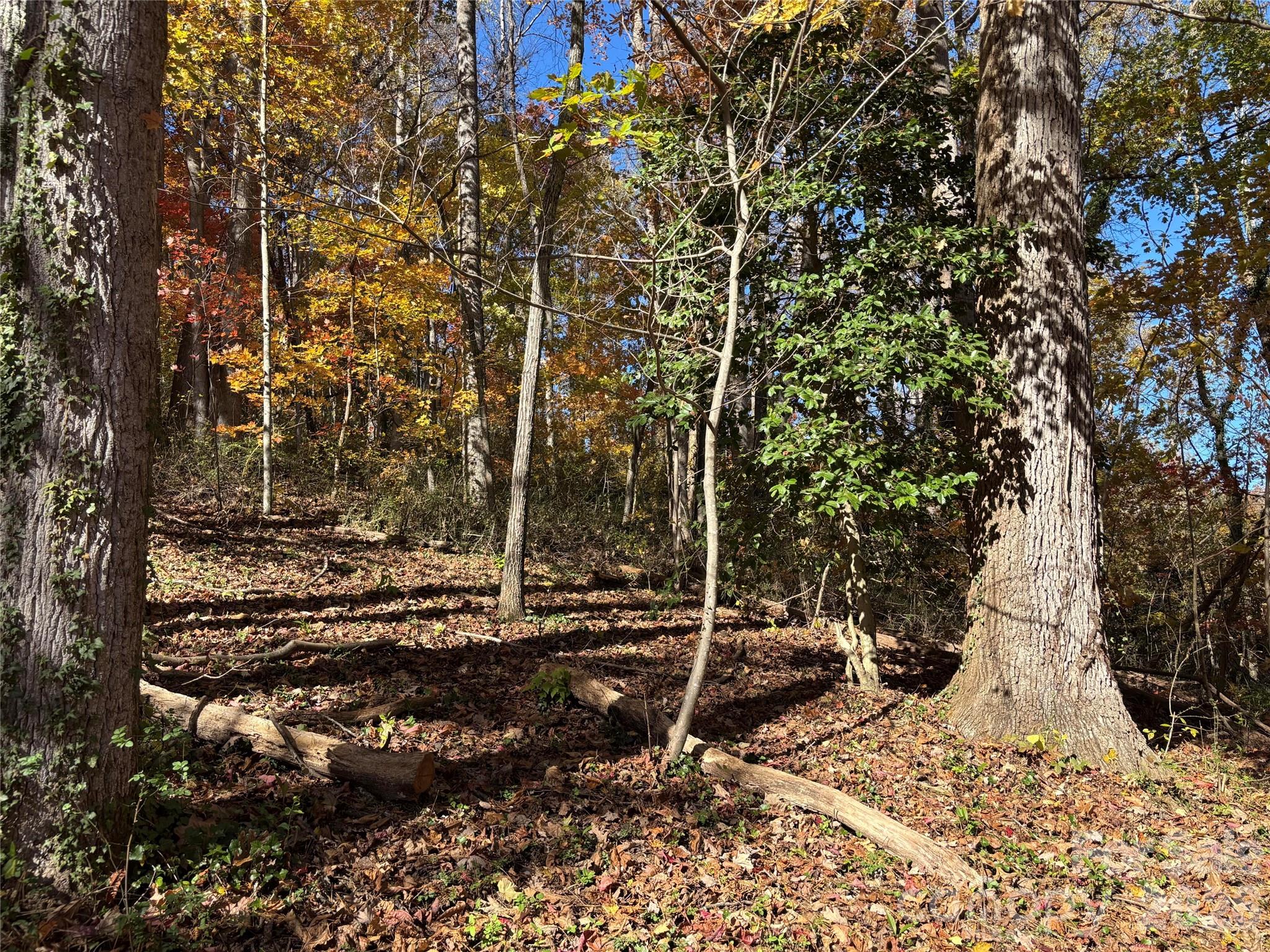 Lot at 20 La Grange Drive, Asheville, photo 13 of 19