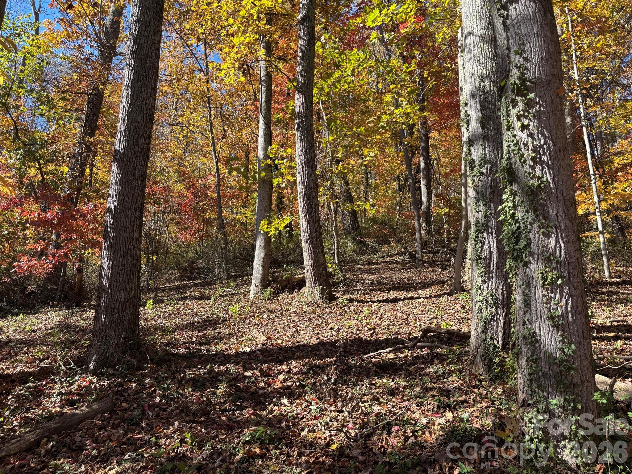 Lot at 20 La Grange Drive, Asheville, photo 14 of 19