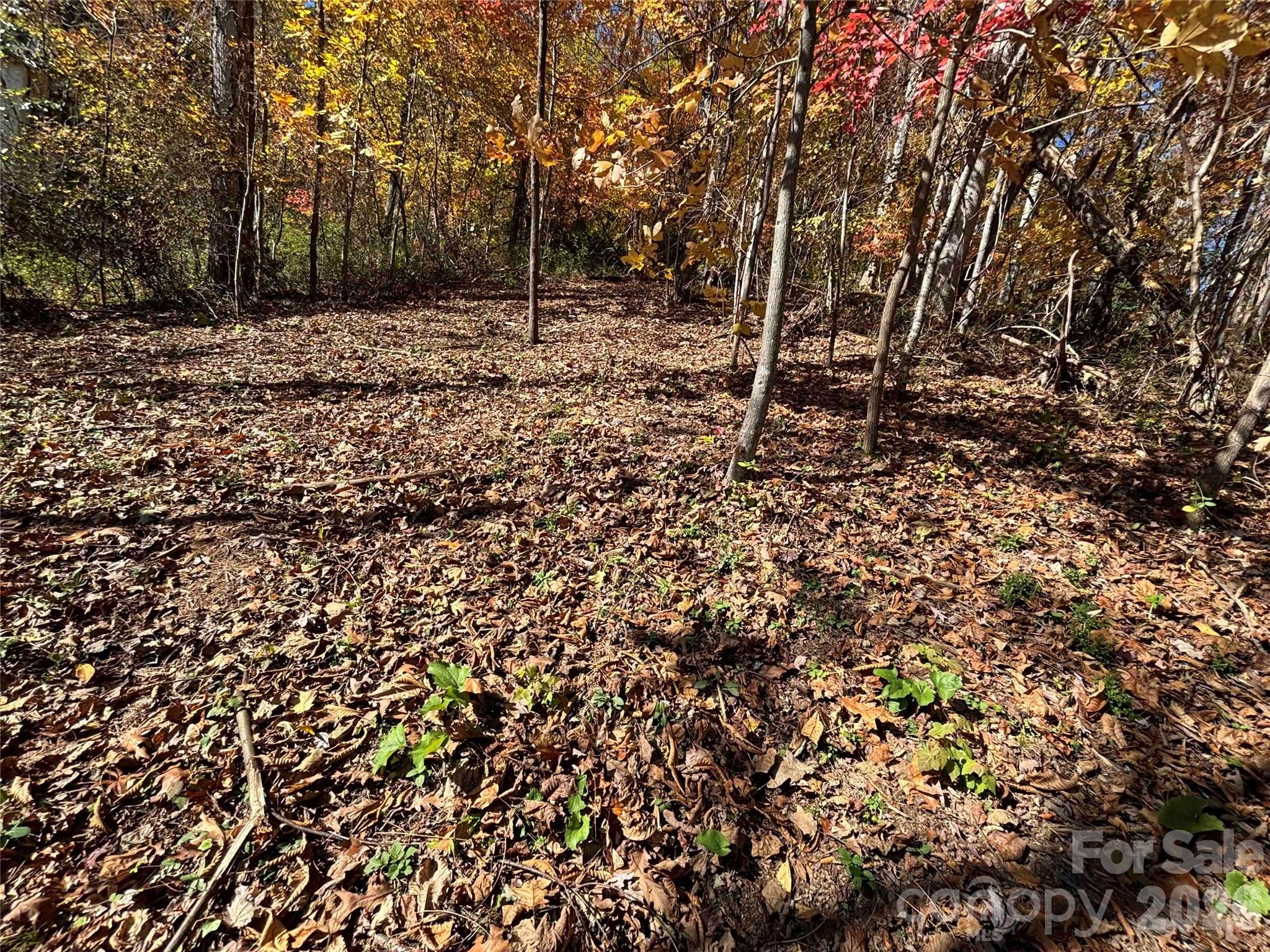 Lot at 20 La Grange Drive, Asheville, photo 15 of 19