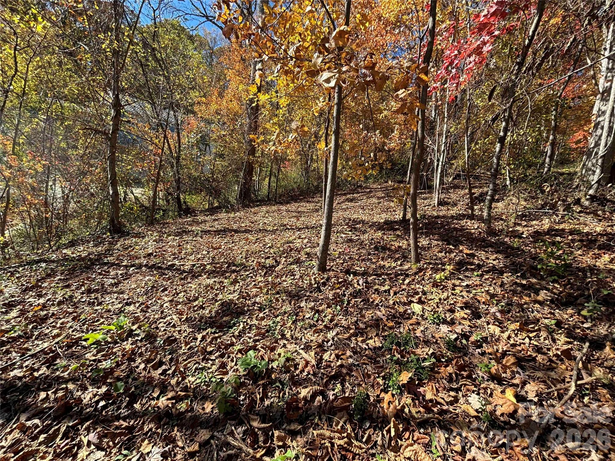 Lot at 20 La Grange Drive, Asheville, photo 16 of 19