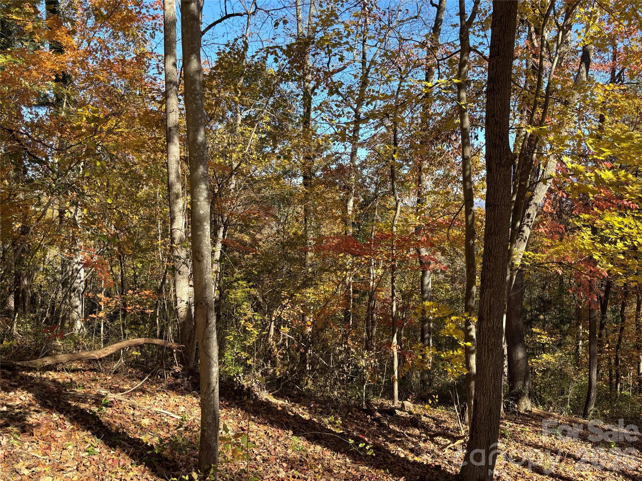 Lot at 20 La Grange Drive, Asheville, photo 17 of 19