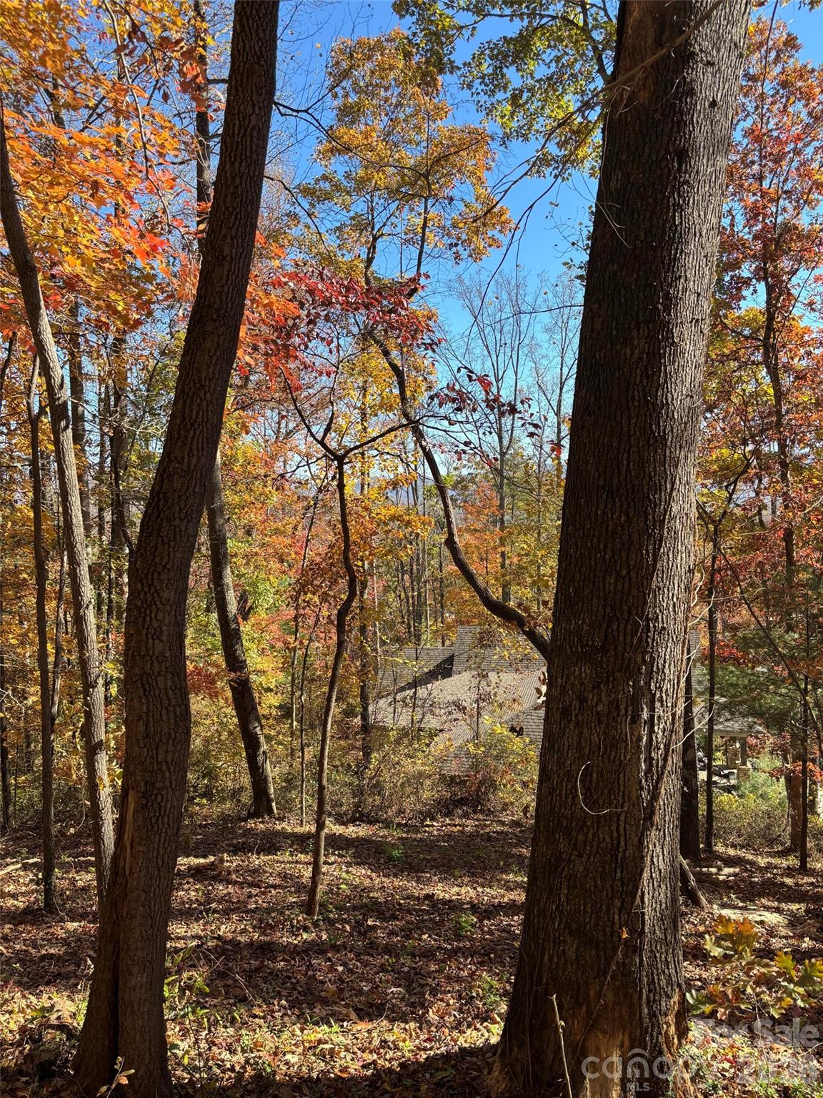 Lot at 20 La Grange Drive, Asheville, photo 18 of 19