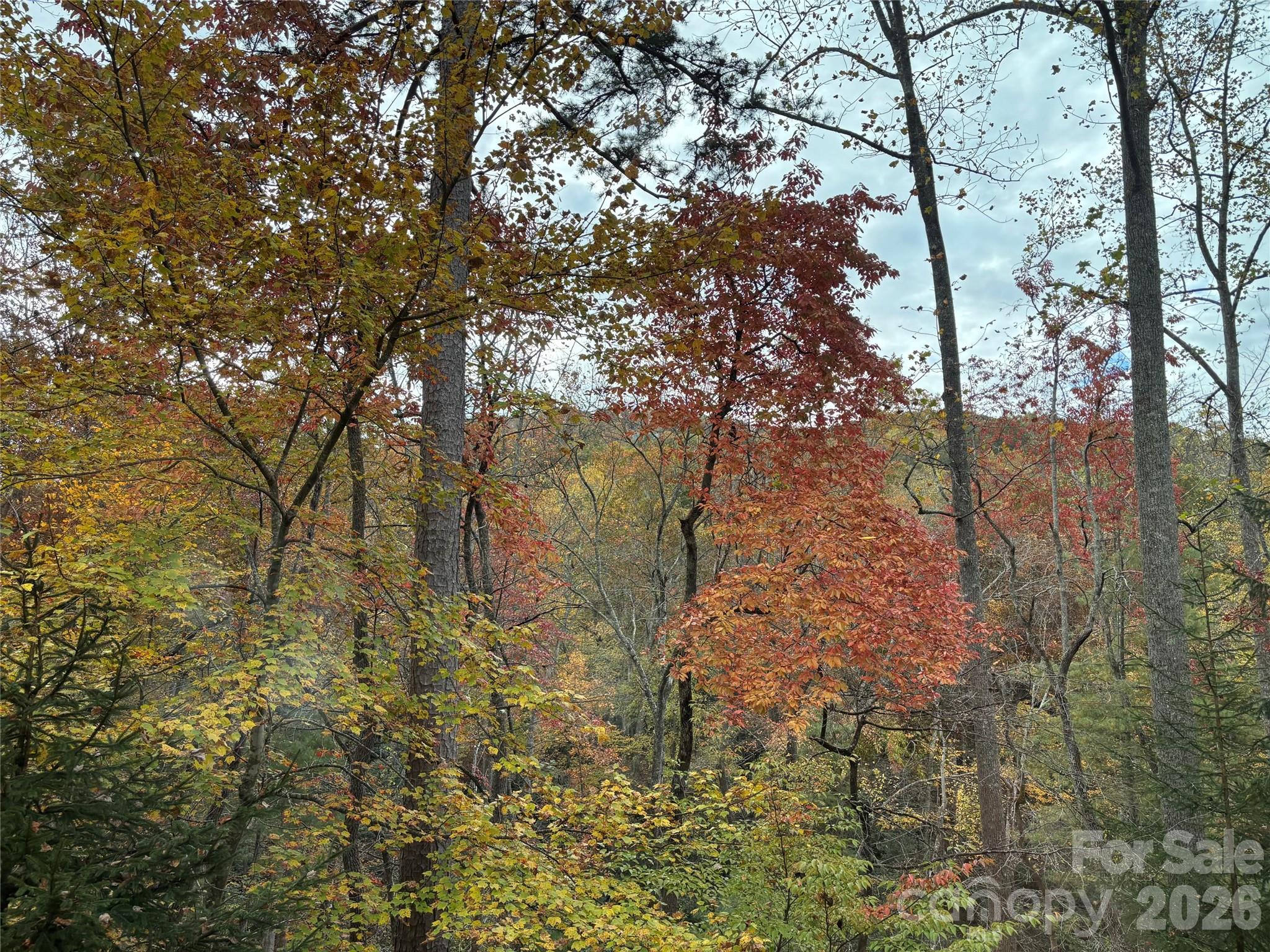 Lot at 20 La Grange Drive, Asheville, photo 19 of 19