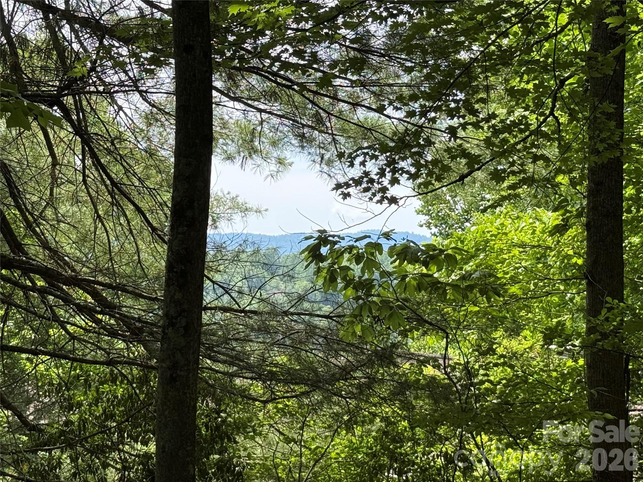 Lot at 0000 Hardwood Summit Drive, Hendersonville