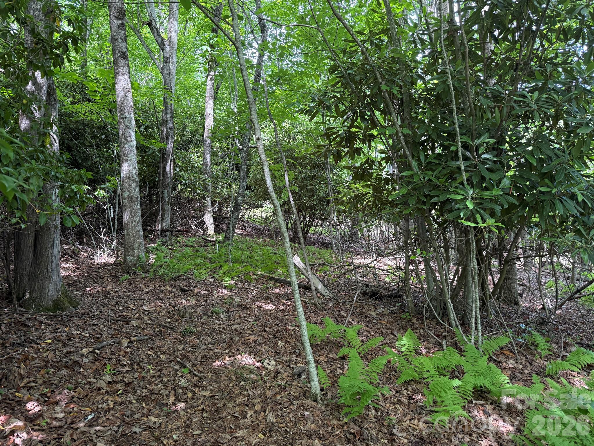 Lot at 0000 Hardwood Summit Drive, Hendersonville, photo 3 of 29