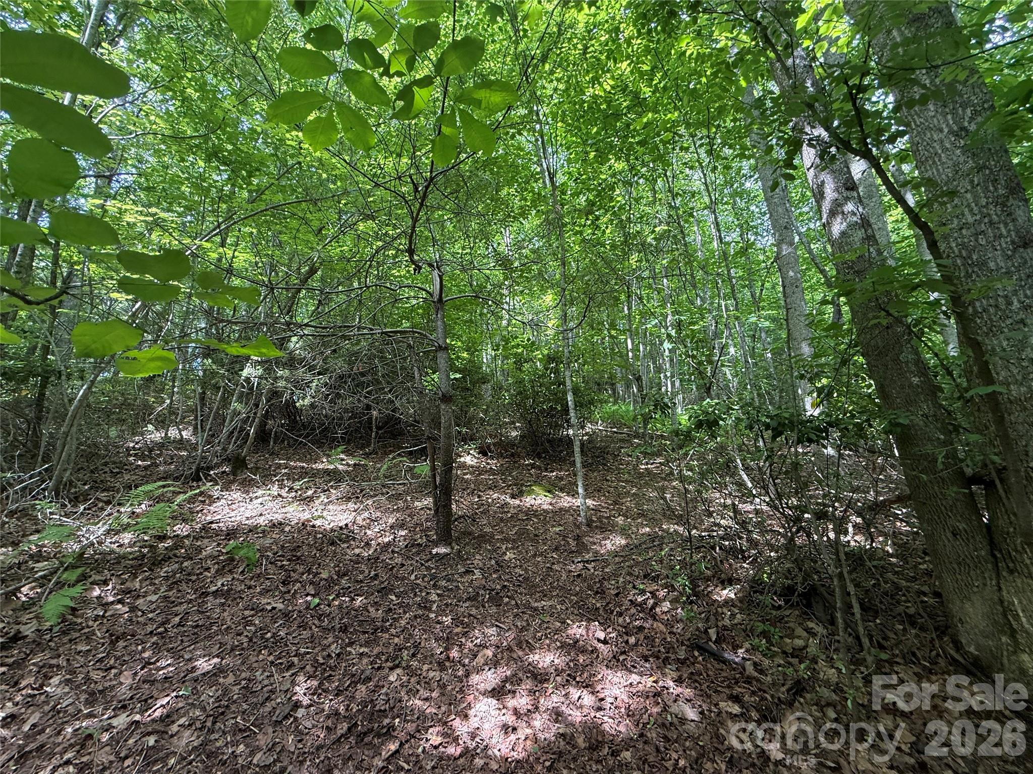 Lot at 0000 Hardwood Summit Drive, Hendersonville, photo 4 of 29