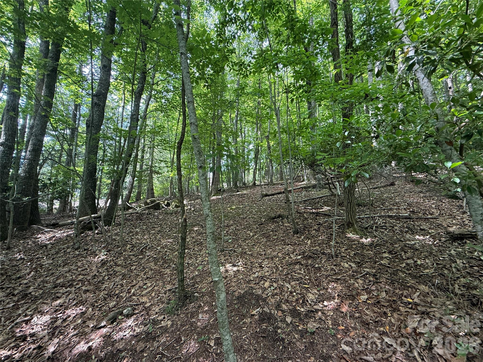Lot at 0000 Hardwood Summit Drive, Hendersonville, photo 5 of 29