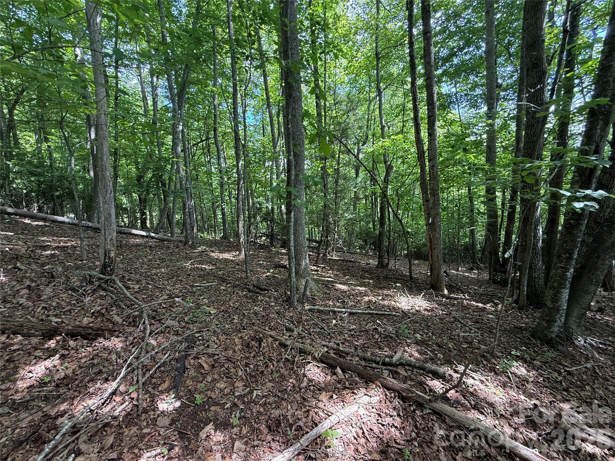 Lot at 0000 Hardwood Summit Drive, Hendersonville, photo 6 of 29