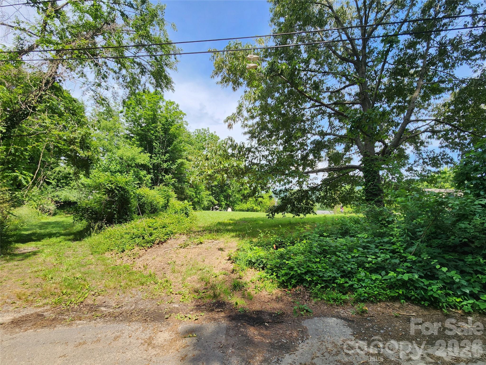 NW Corner of Lot 1 showing Driveway Easement Location for 43 Rock Hill Pl - TBD Rock Hill Place, Asheville