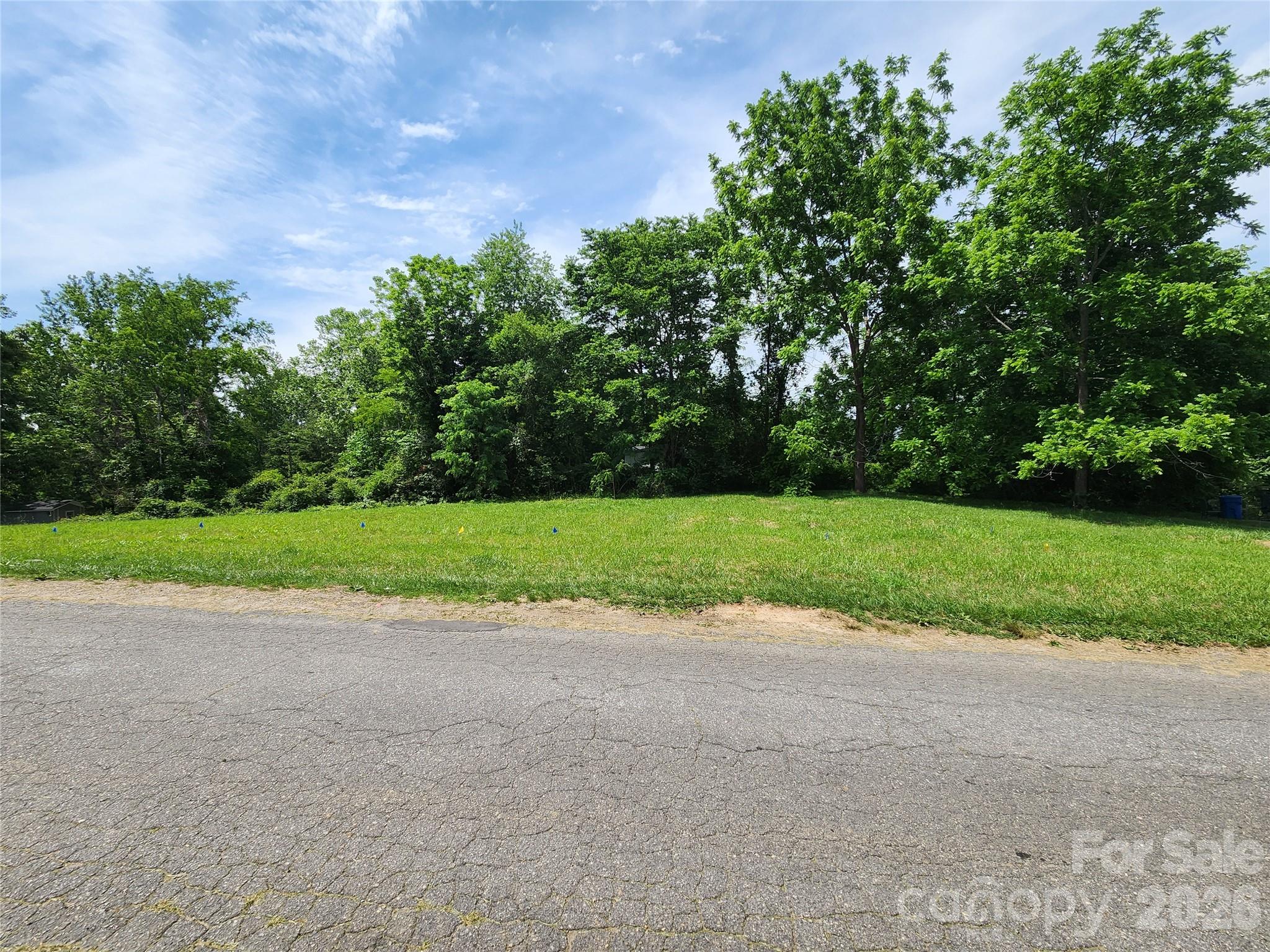 View of Both Lots from Across the Street - TBD Rock Hill Place, Asheville