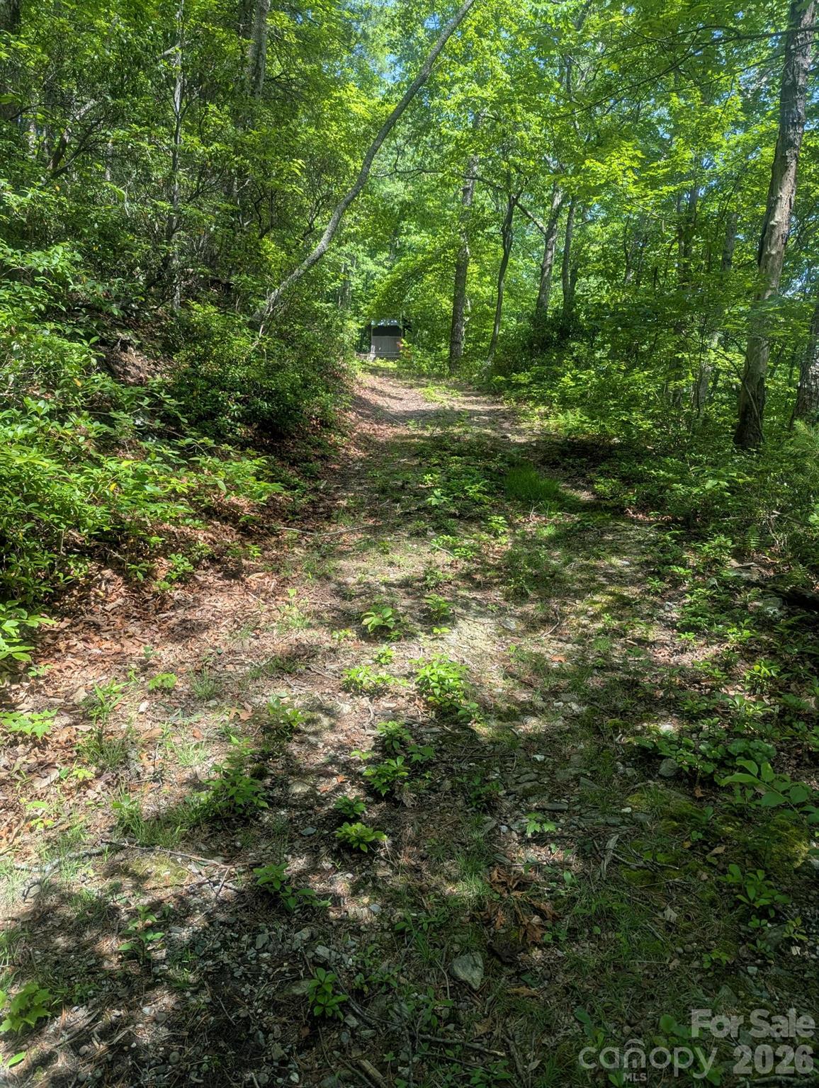 Acreage at 1662 Penley Road, Lenoir, photo 3 of 28