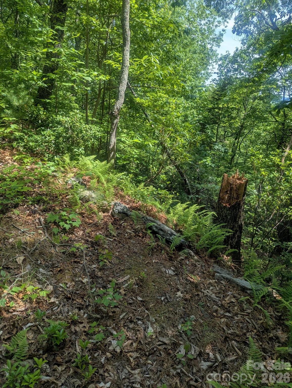 Acreage at 1662 Penley Road, Lenoir, photo 5 of 28