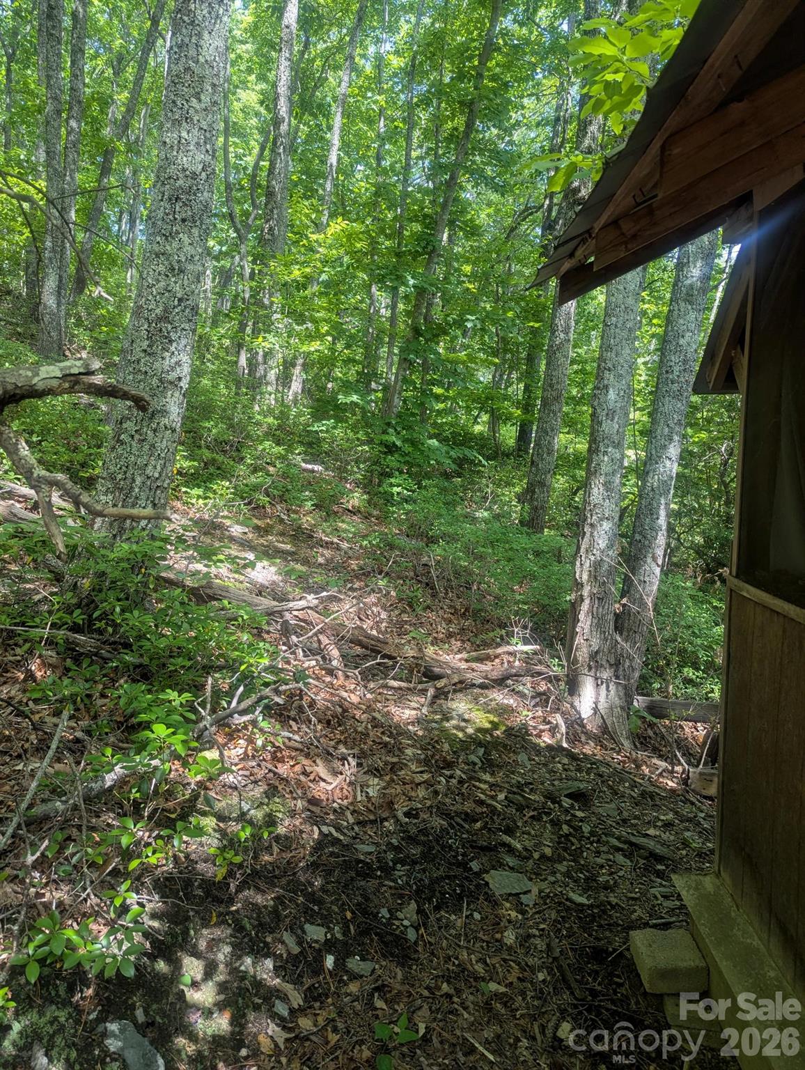 Acreage at 1662 Penley Road, Lenoir, photo 9 of 28