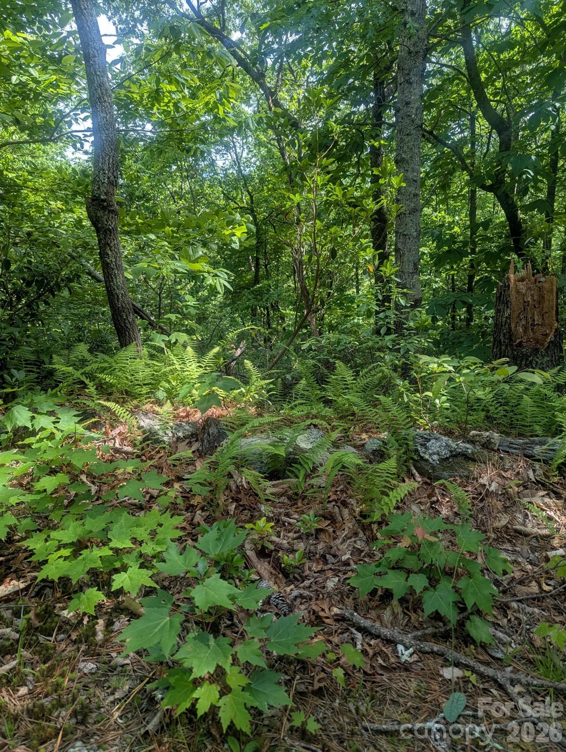 Acreage at 1662 Penley Road, Lenoir, photo 17 of 28