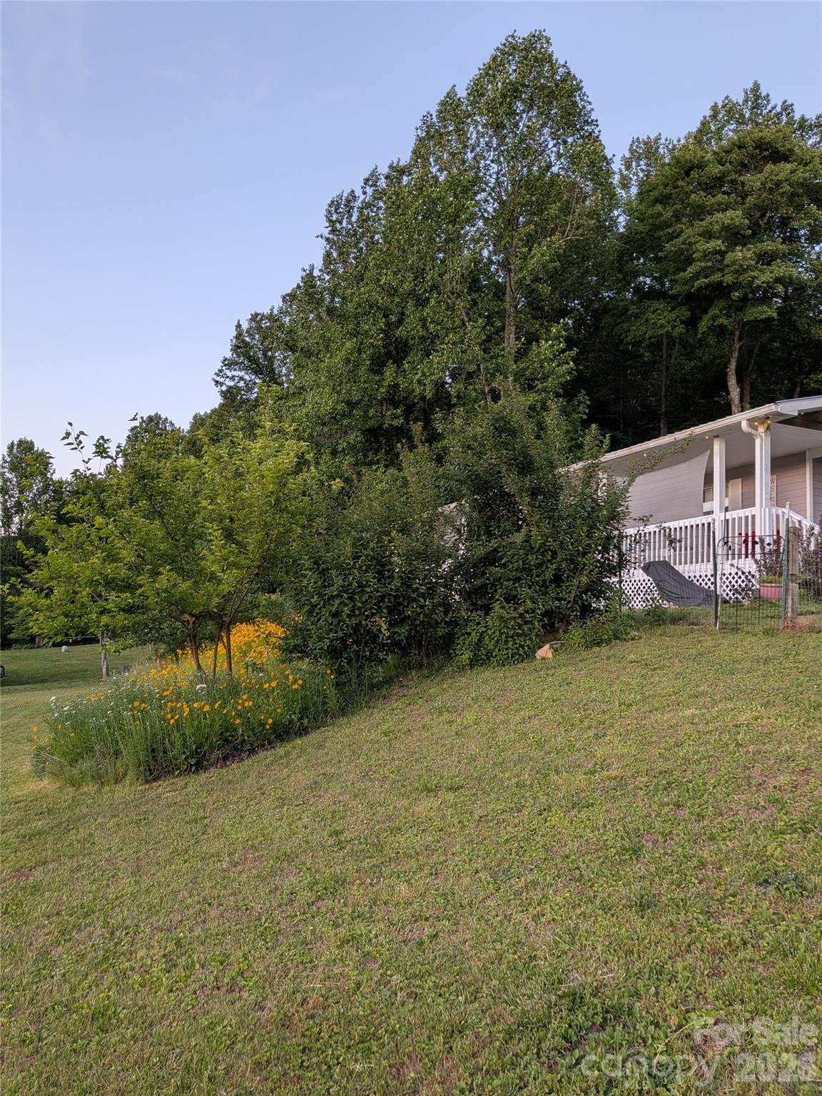 Established landscaping with native drought and deer resistant varieties - 59 Ck Cabin Drive, Hot Springs
