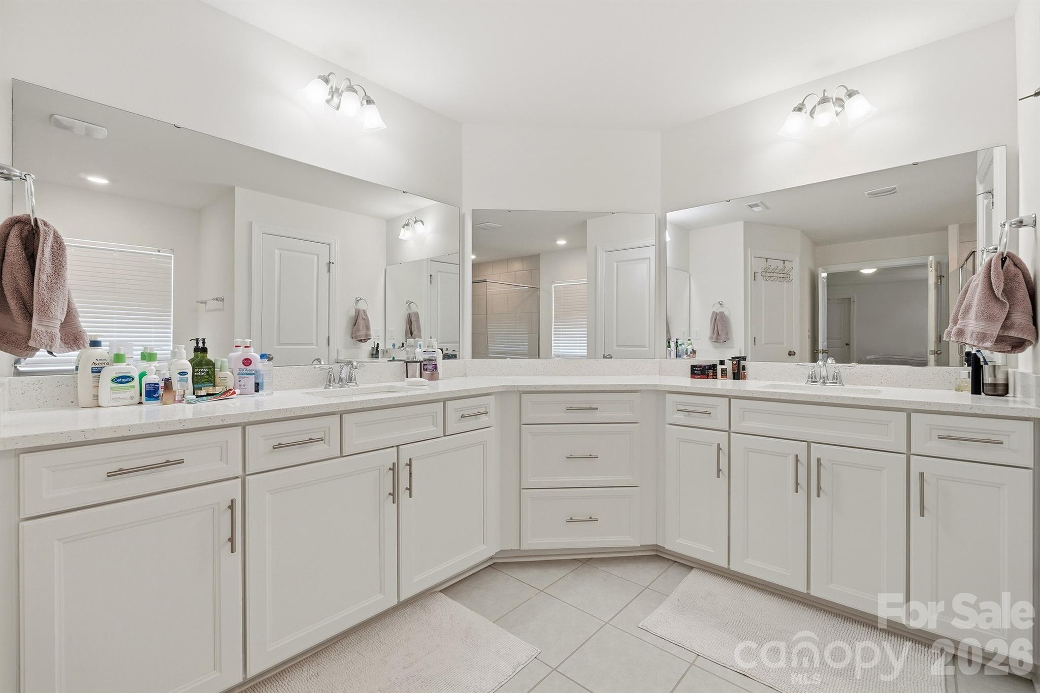 Primary Bathroom Vanity - 282 Bouchard Drive, Waxhaw