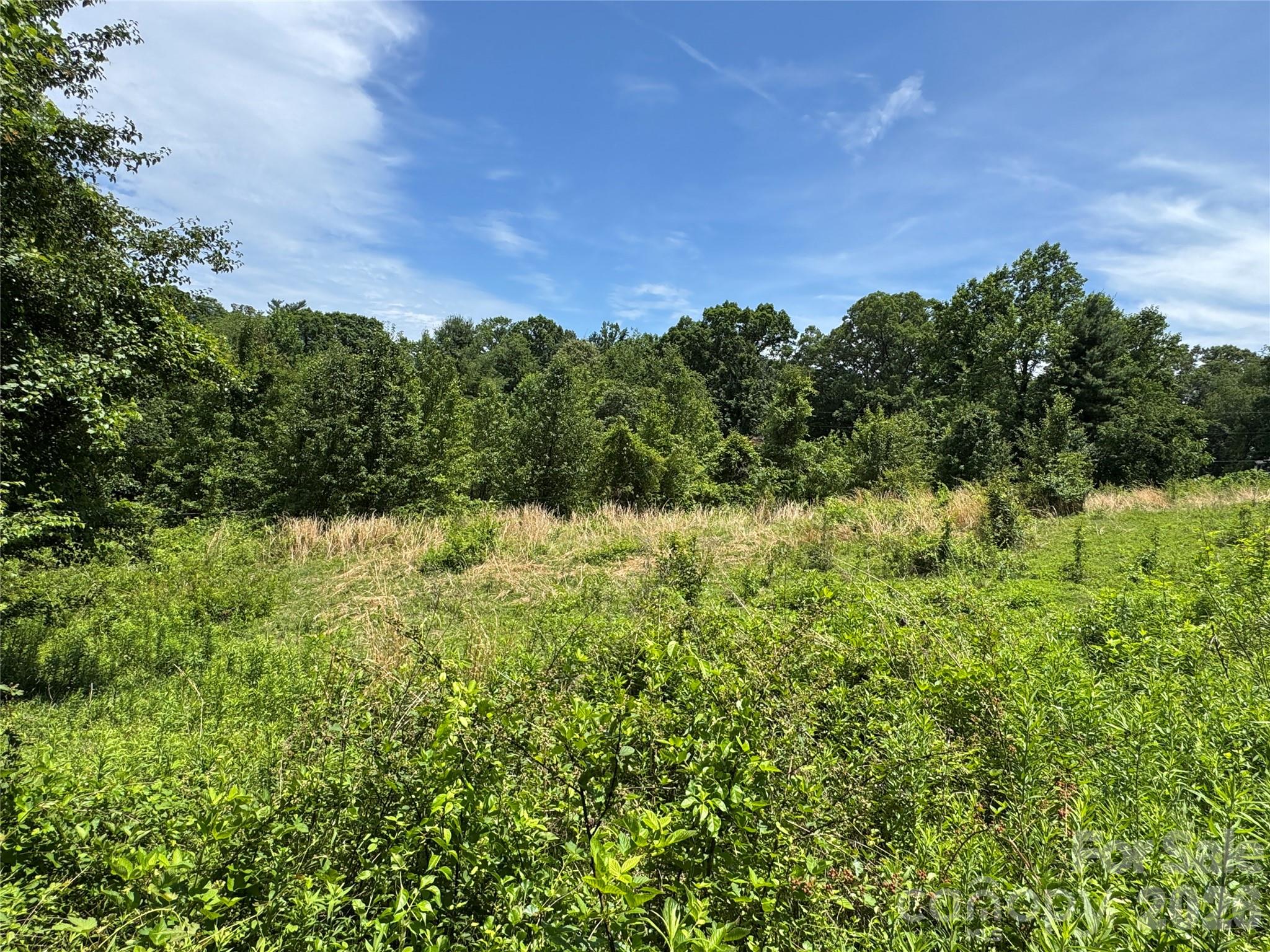 Lot at 99999 Duckett Road, Candler, photo 5 of 28
