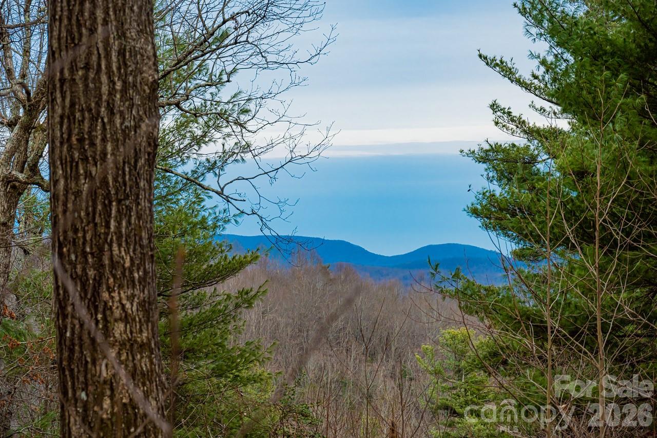 Lot at 000 Hollybrook Drive, Flat Rock