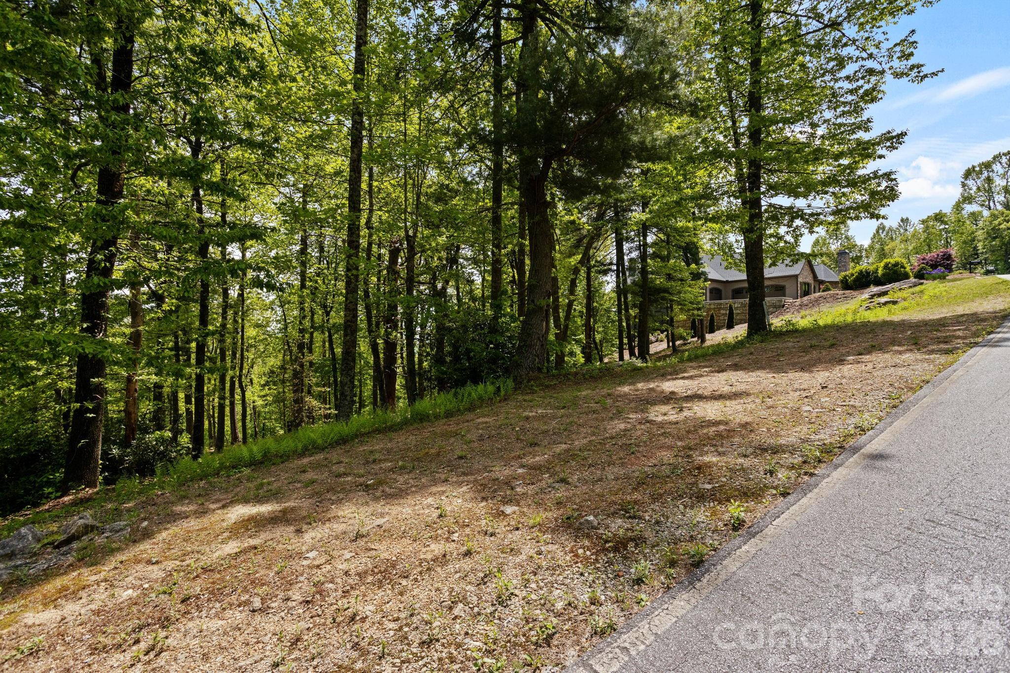 Lot at 000 Hollybrook Drive, Flat Rock, photo 5 of 22
