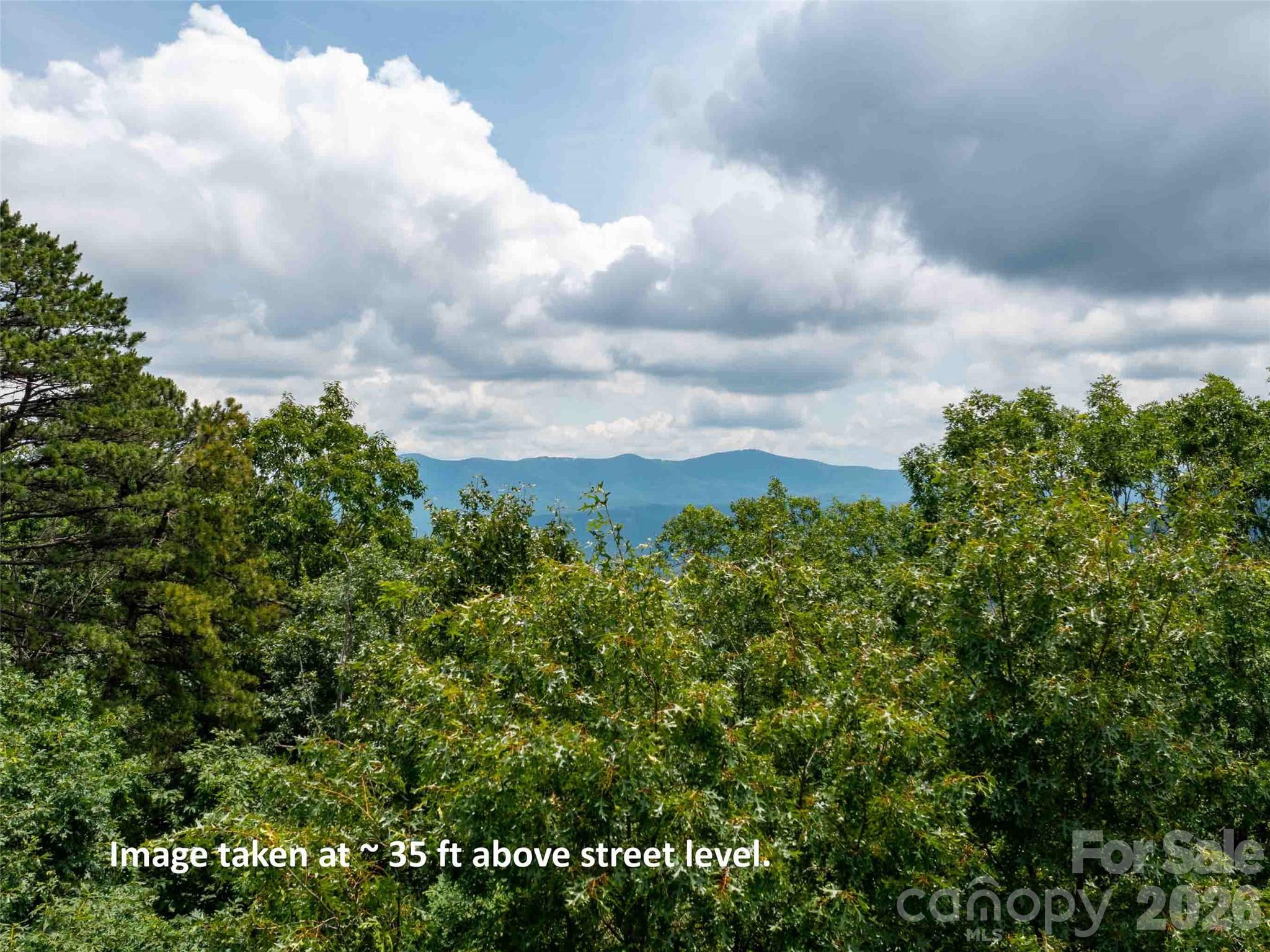 Lot at 288 Eastman Place, Mill Spring, photo 3 of 15